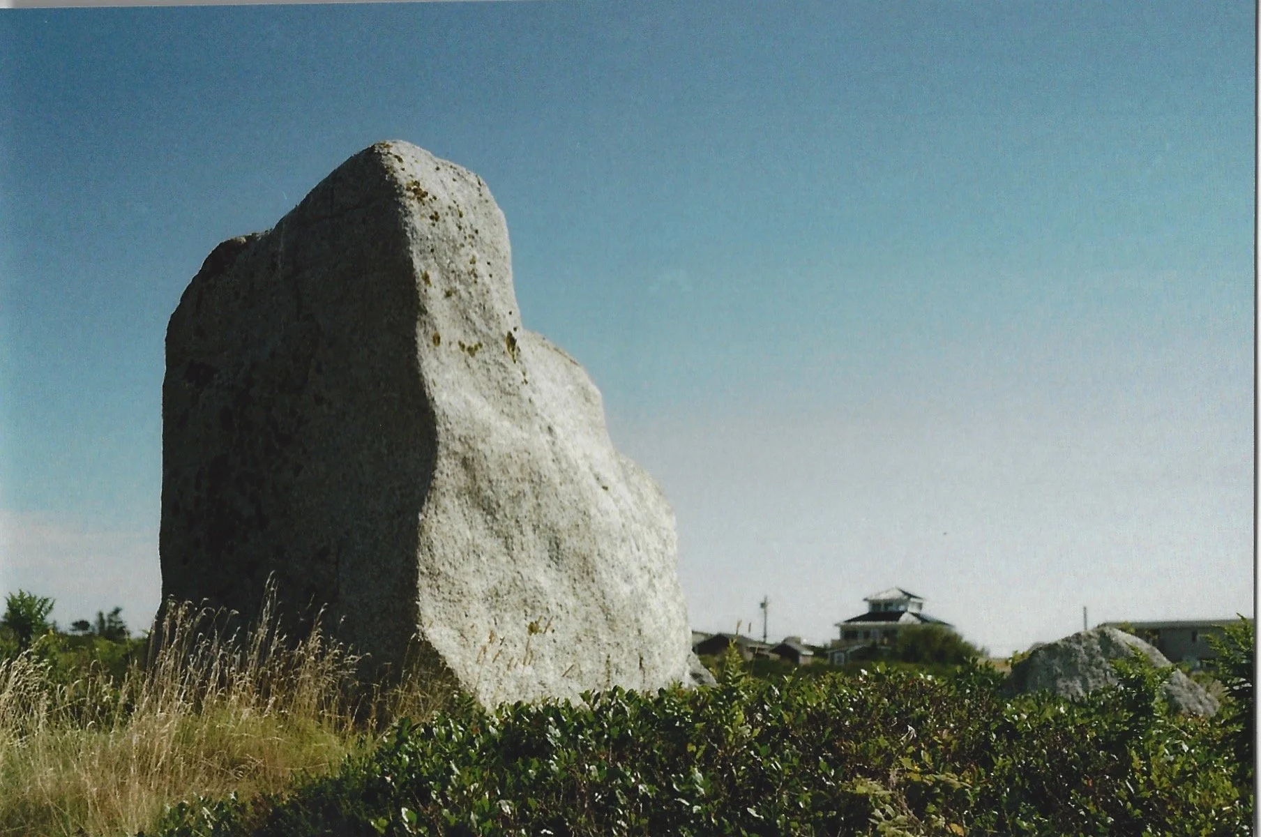 Photo_2022-03-09_202417 (20).jpg