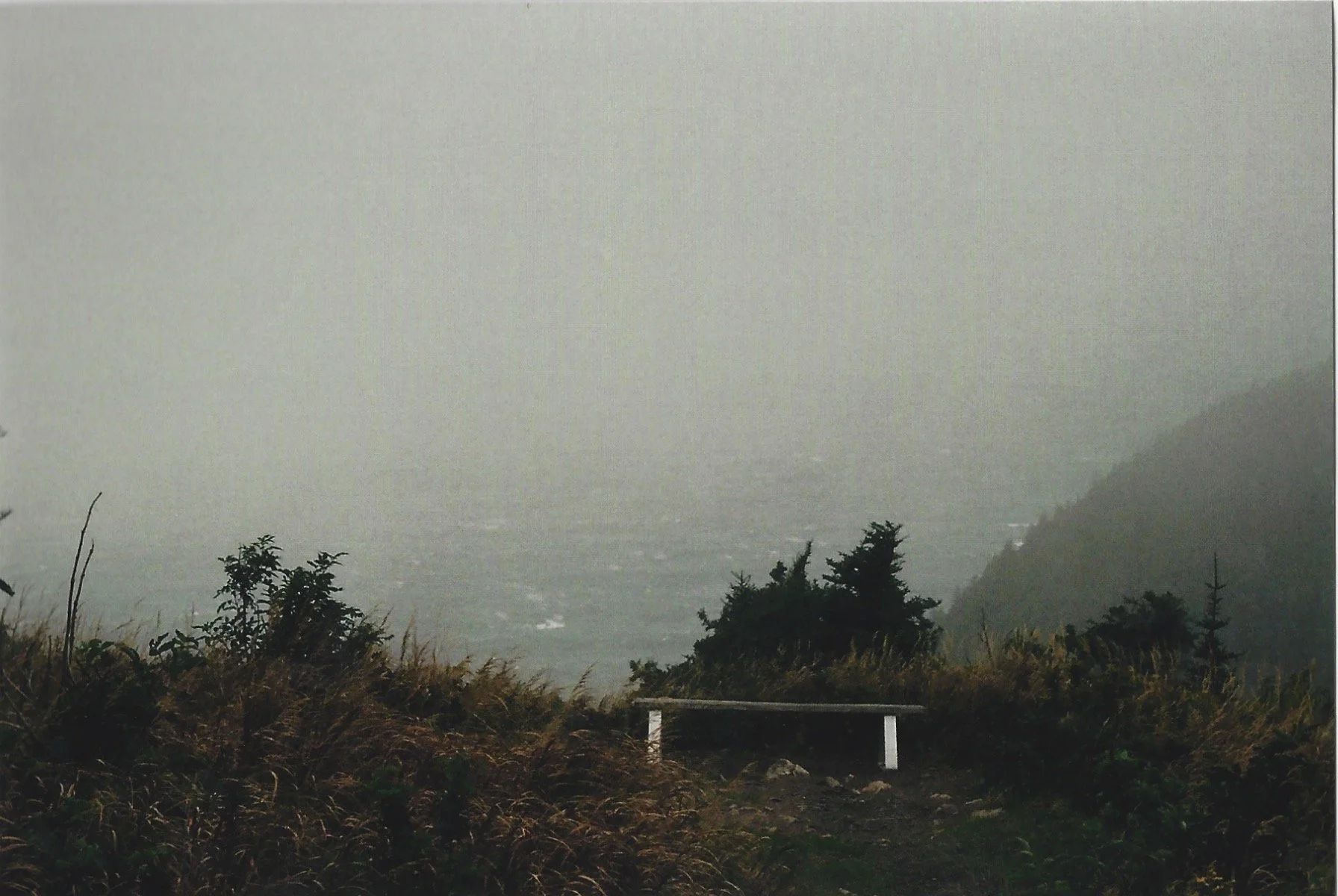 Photo_2022-03-09_195728 (5).jpg