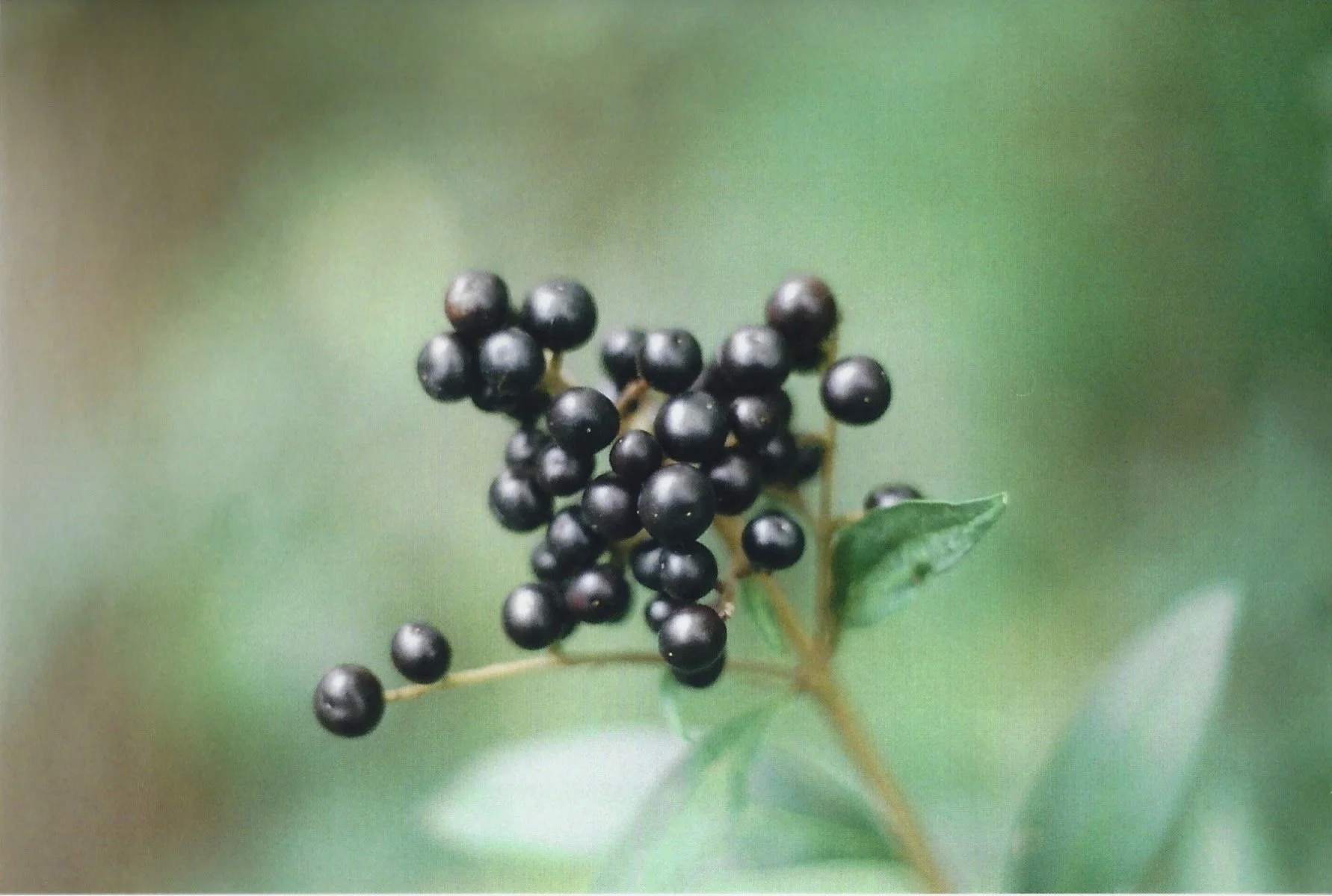 Photo_2022-02-19_125521 (18).jpg