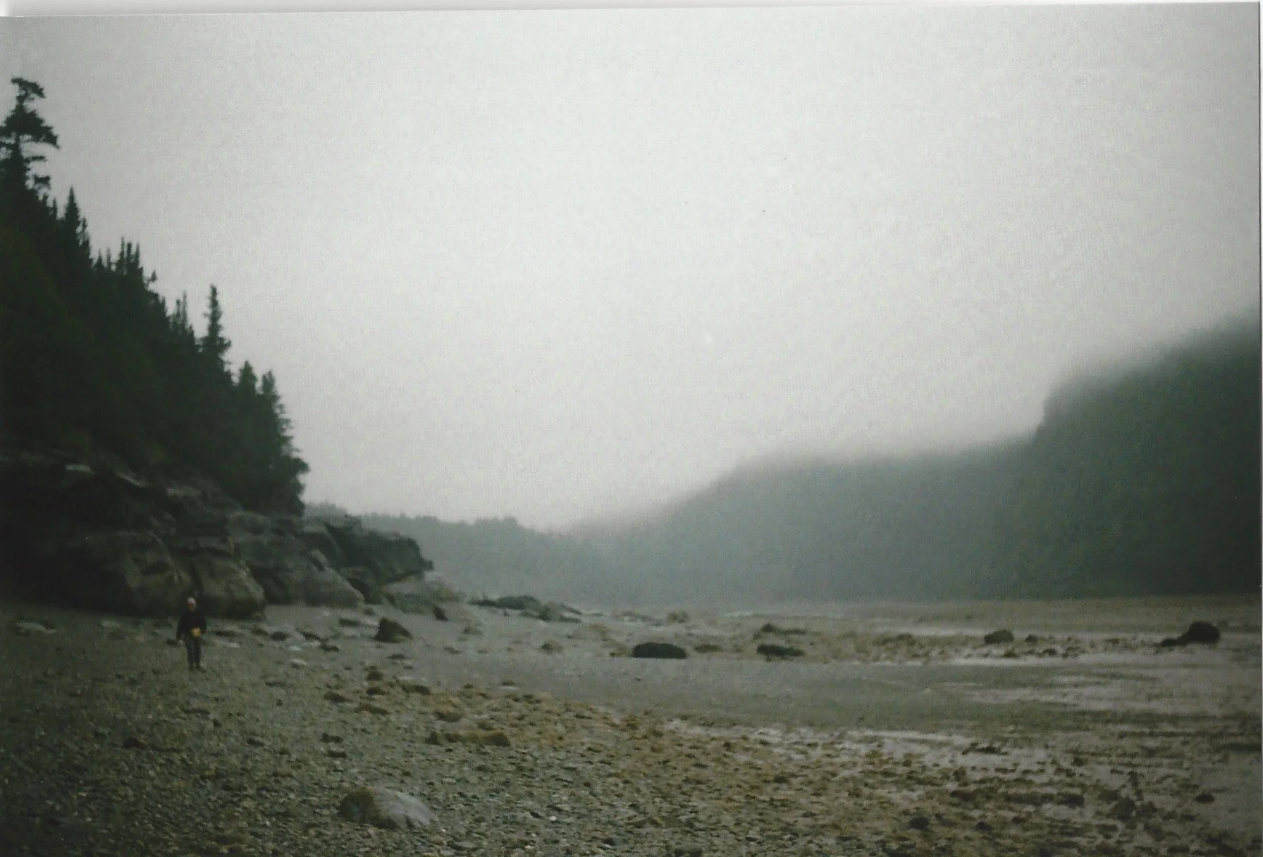 Photo_2022-03-09_195146 (20).jpg