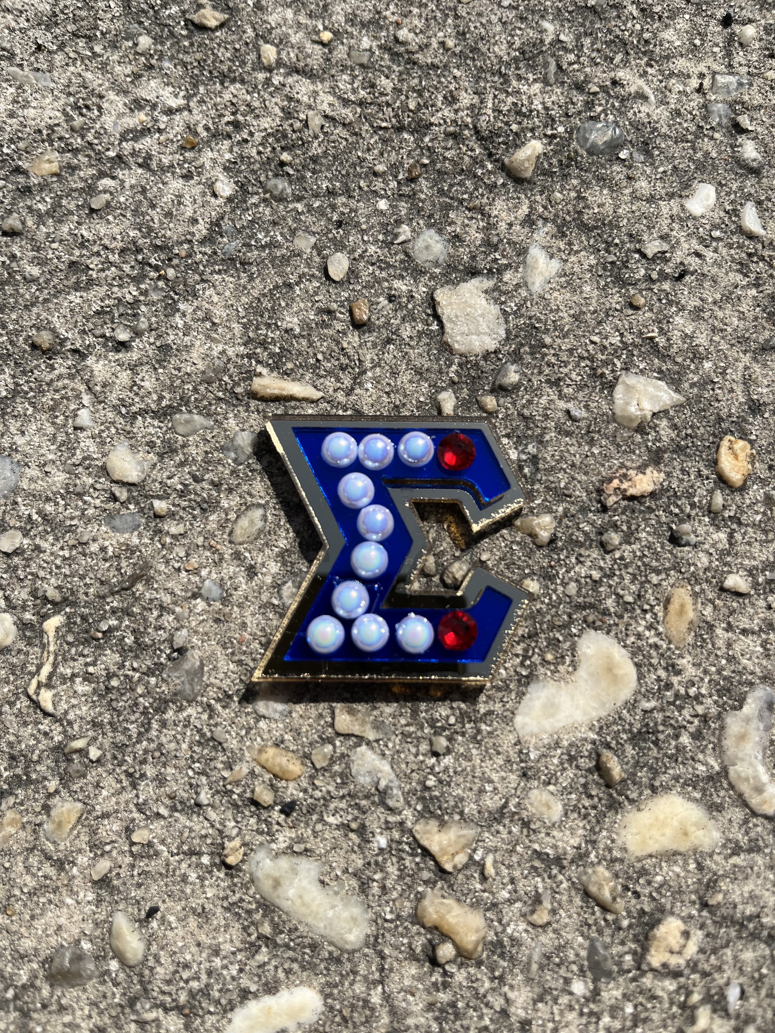 Sigma Gamma Rho pin