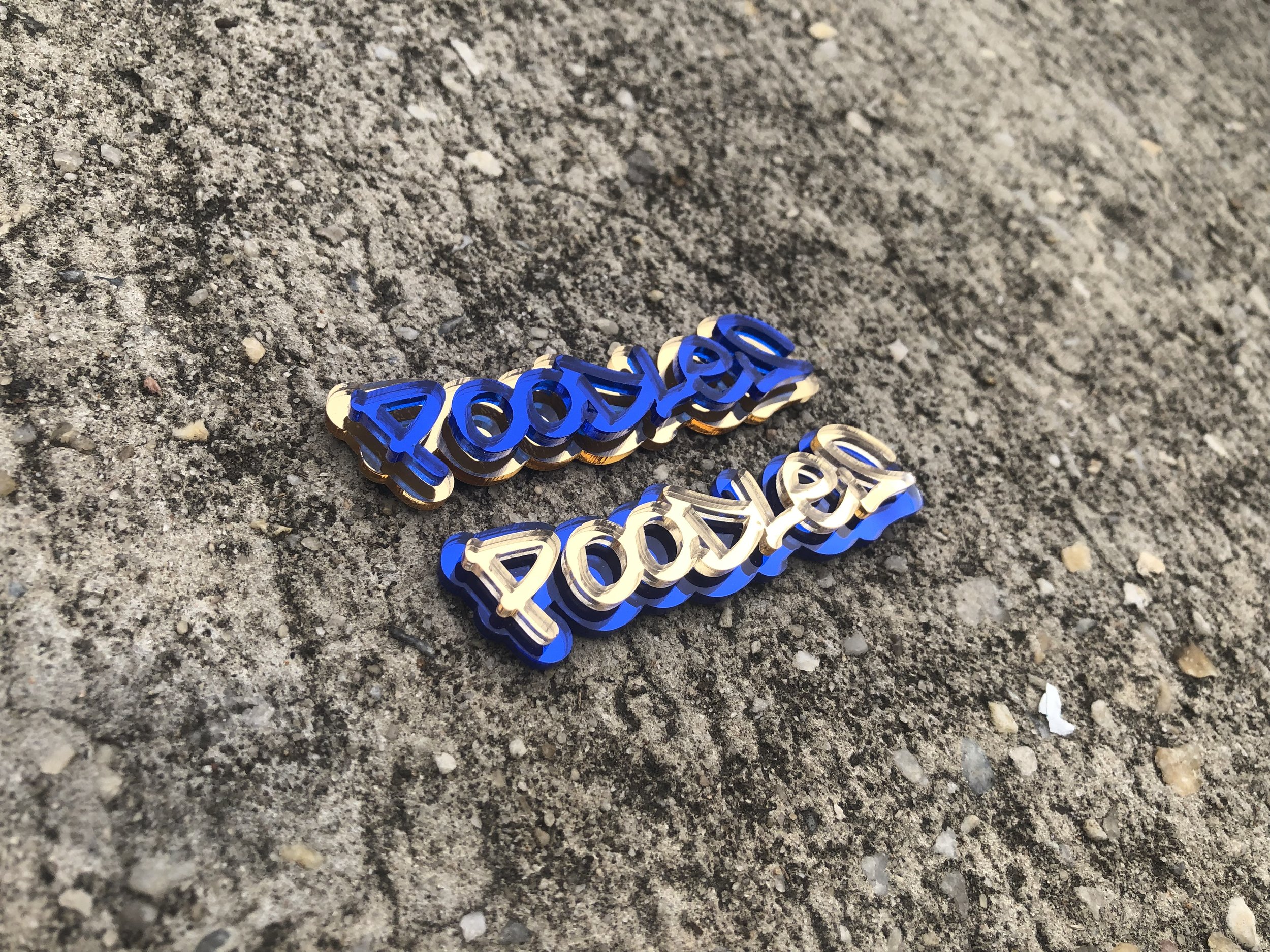 Sigma Gamma Rho pin