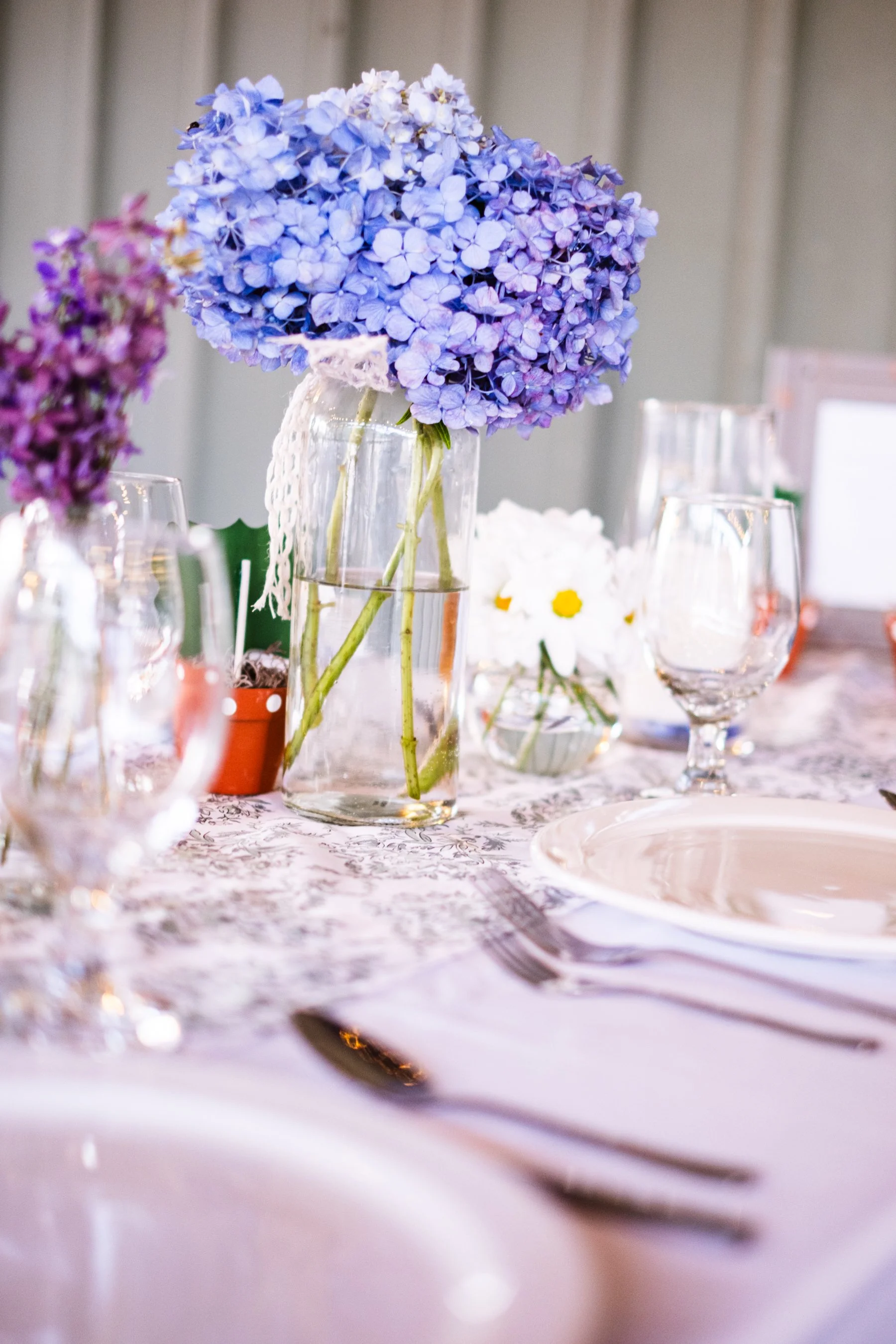 Dillsboro Events-4.jpg