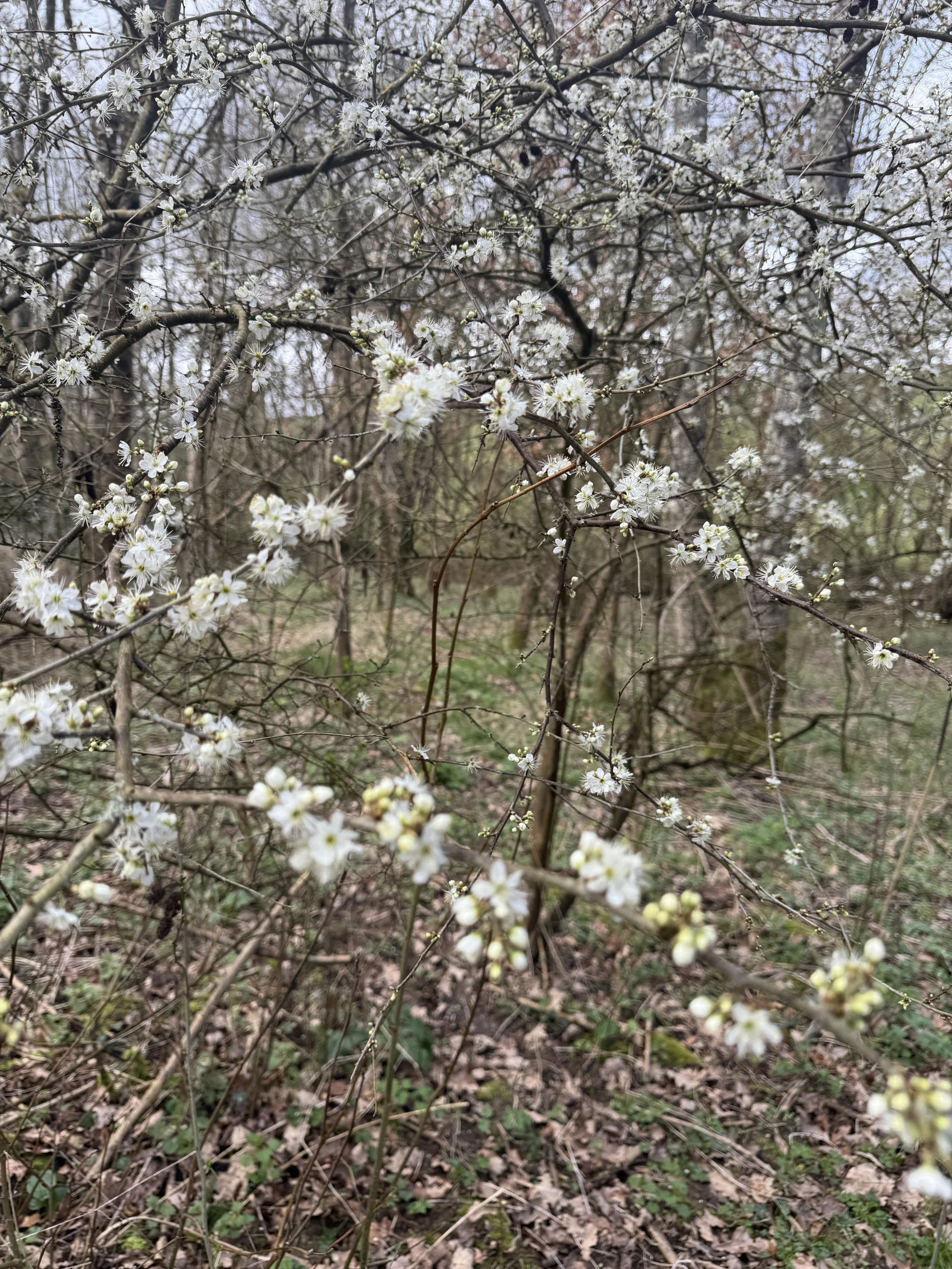 Spring, Nature and New Perspectives: Why I Love Working Outdoors