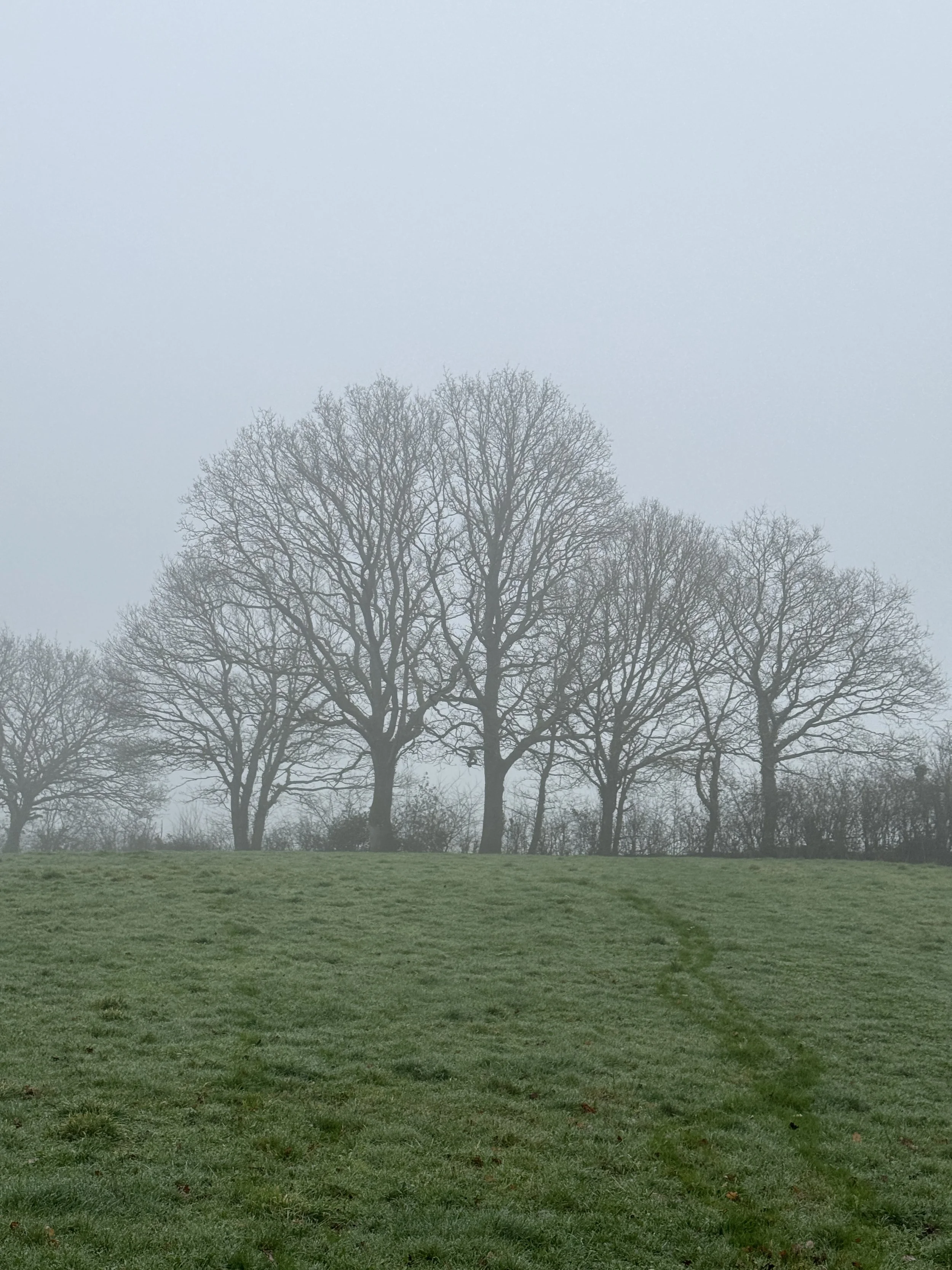 Finding Peace in the Rain -  Nature Based Counselling on Mid Devon’s Wetter Days
