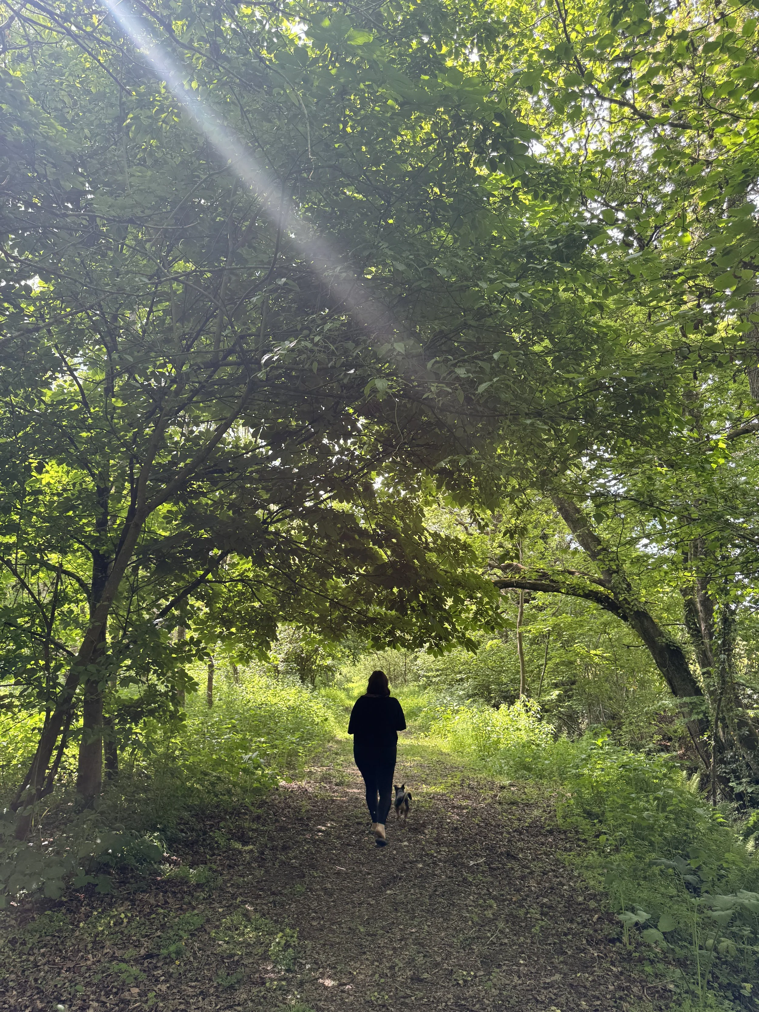What is Ecotherapy?