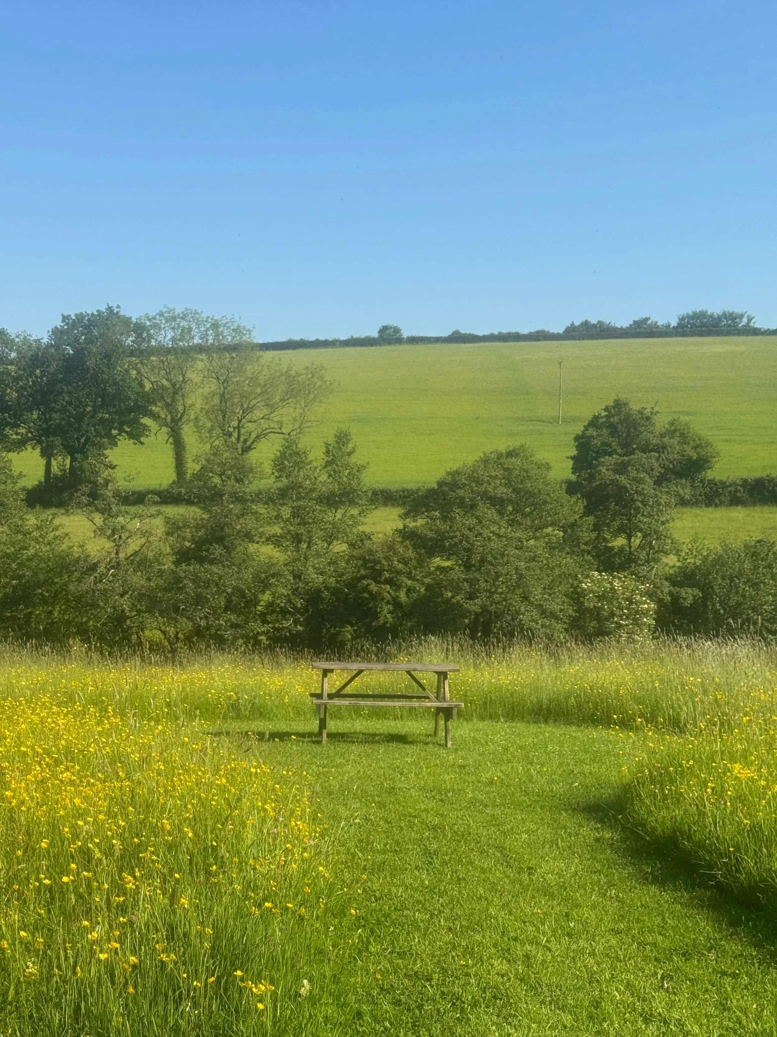 Sunshine and Fresh Air - Summer is the Perfect Time for Walk and Talk Therapy