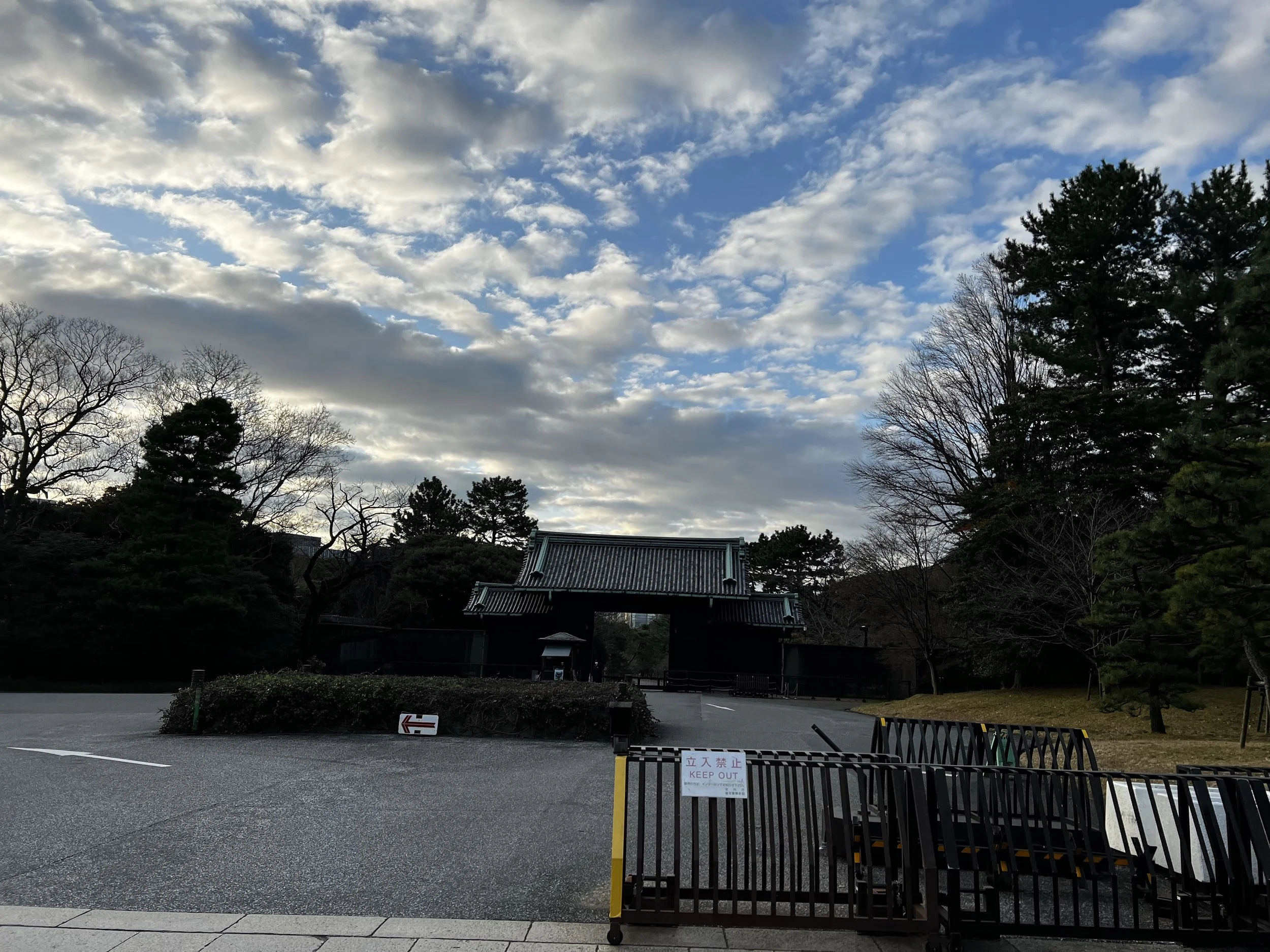 IMG_0889.jpeg