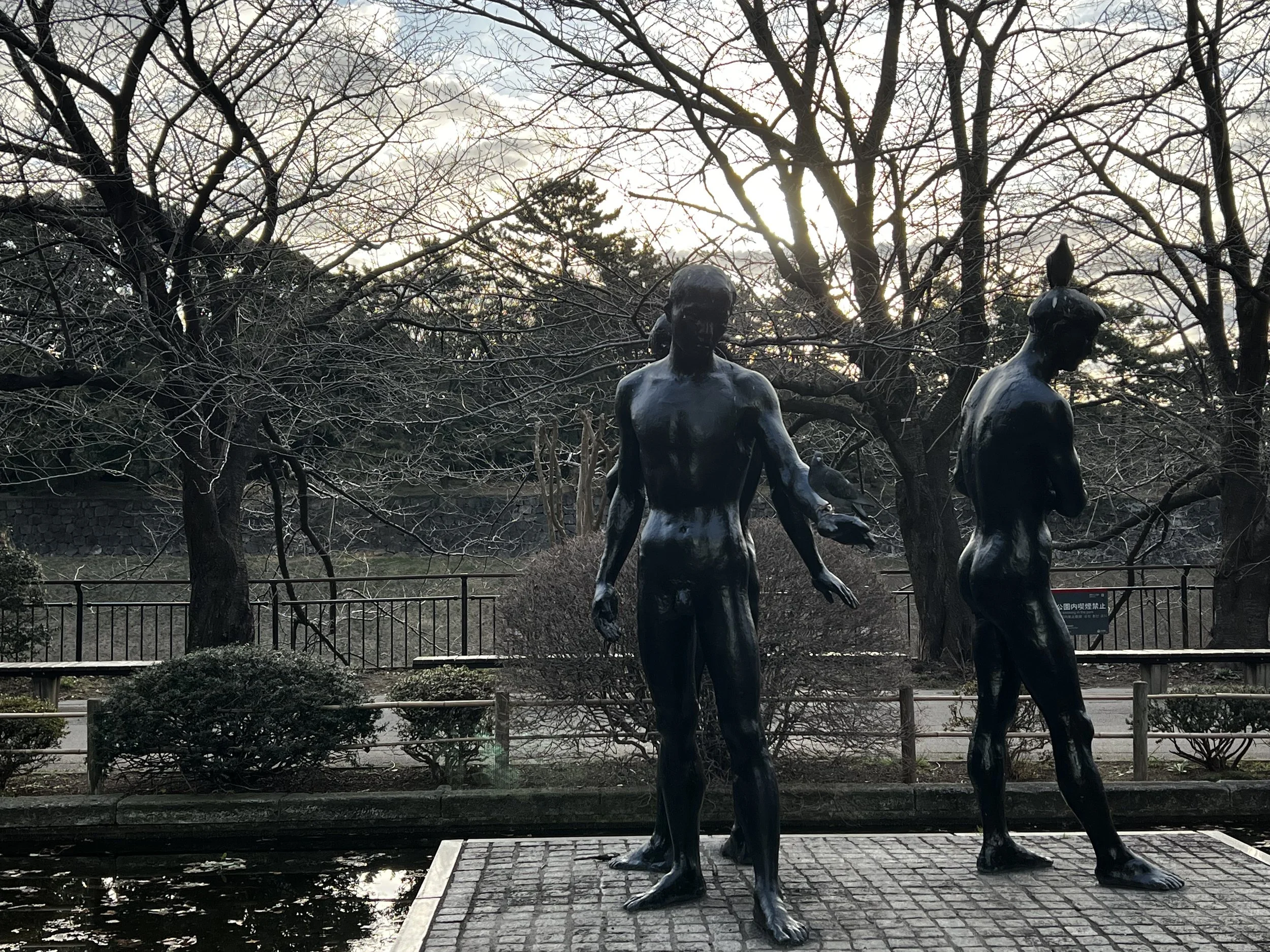 IMG_0890.jpeg