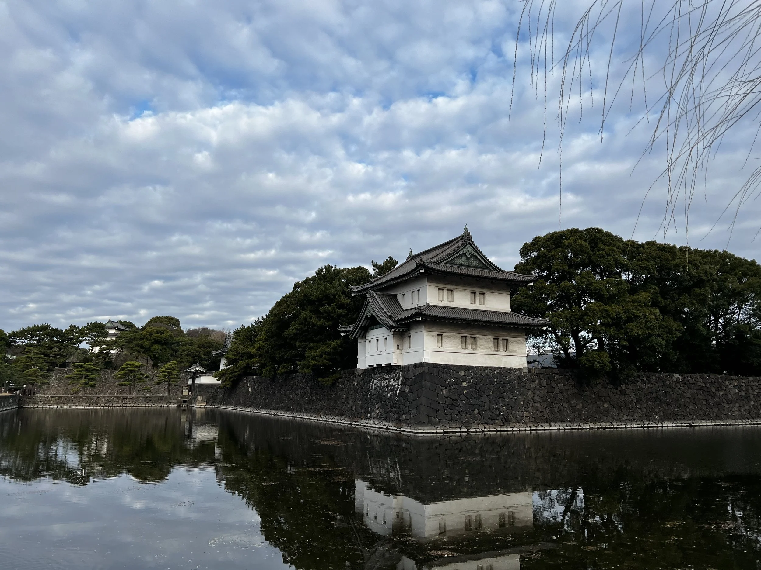 IMG_0907.jpeg