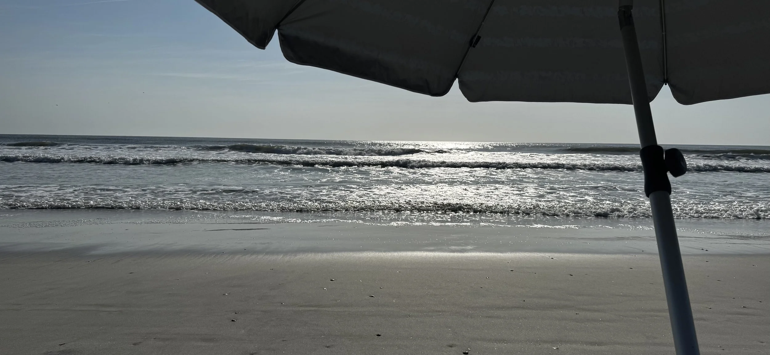 IMG_7202.jpeg