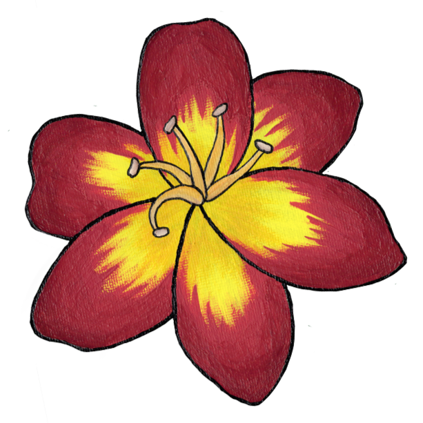 Day Lily