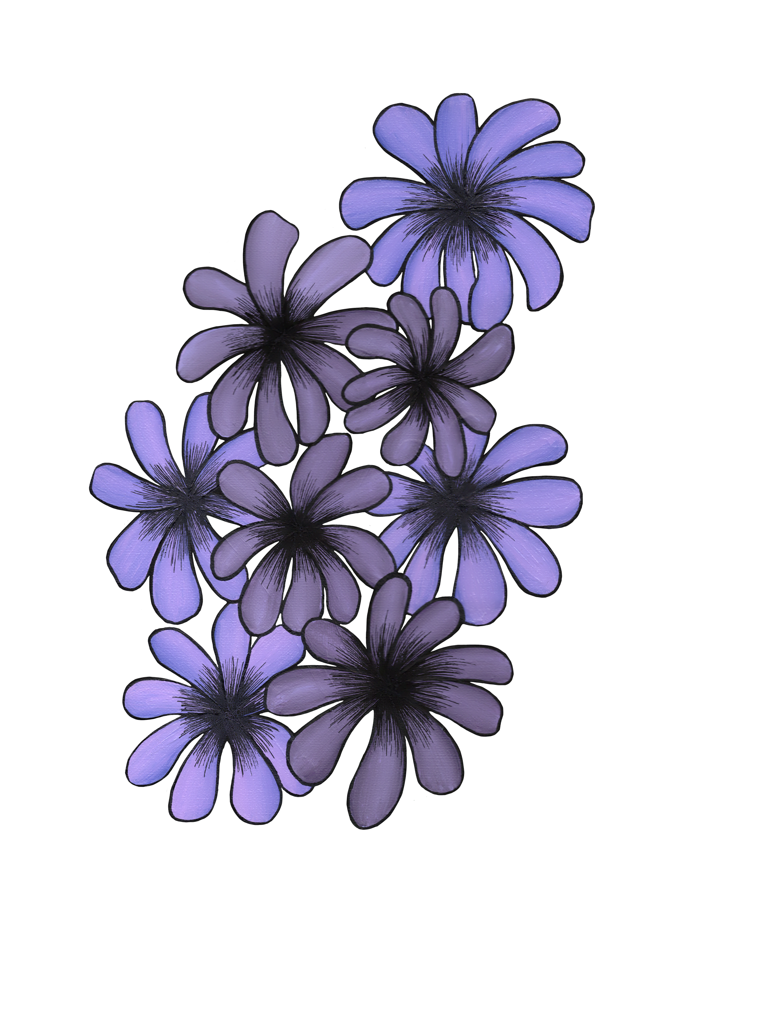 Hyacinth