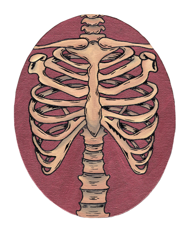 Ribcage