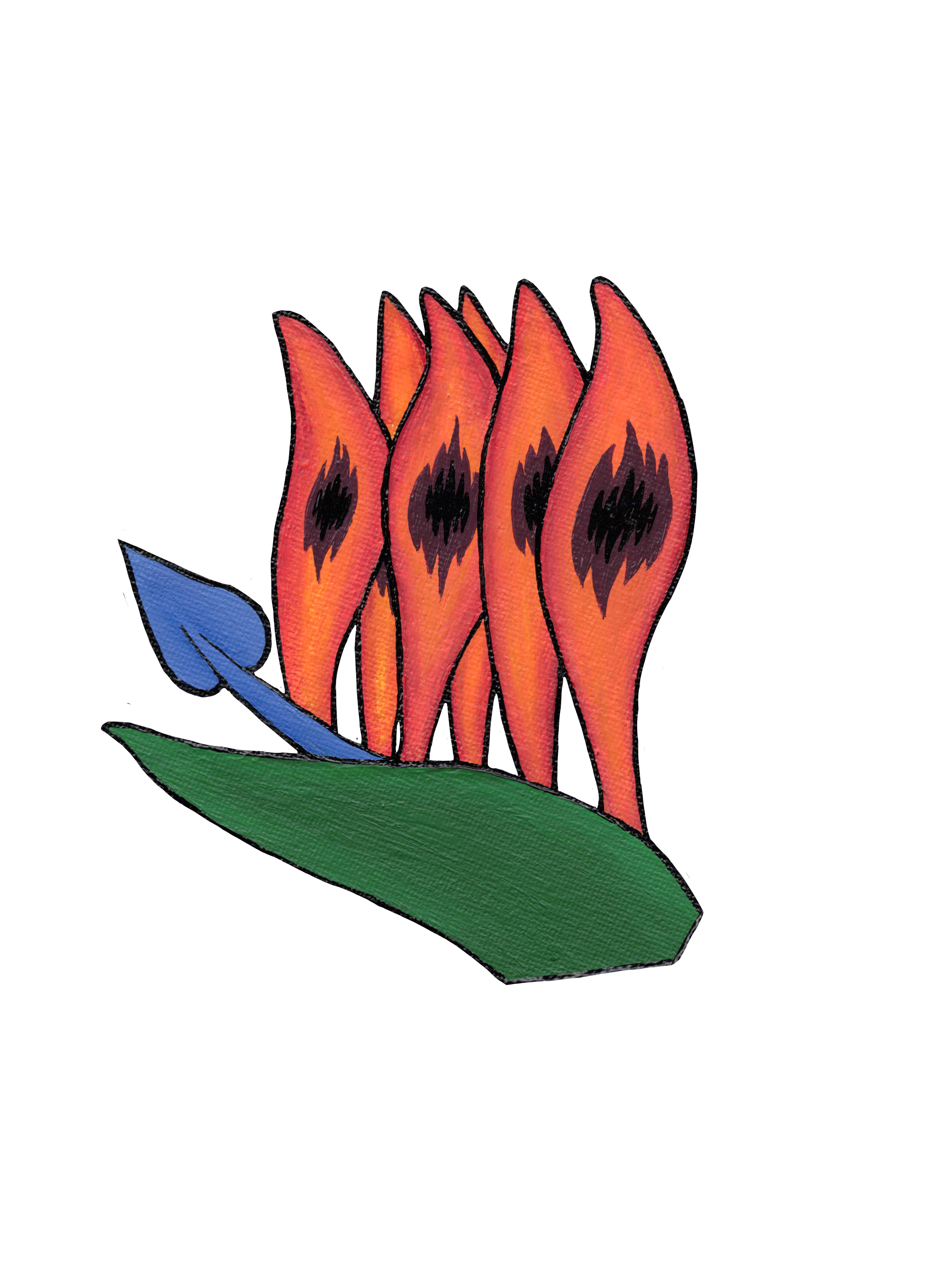 Bird of Paradise