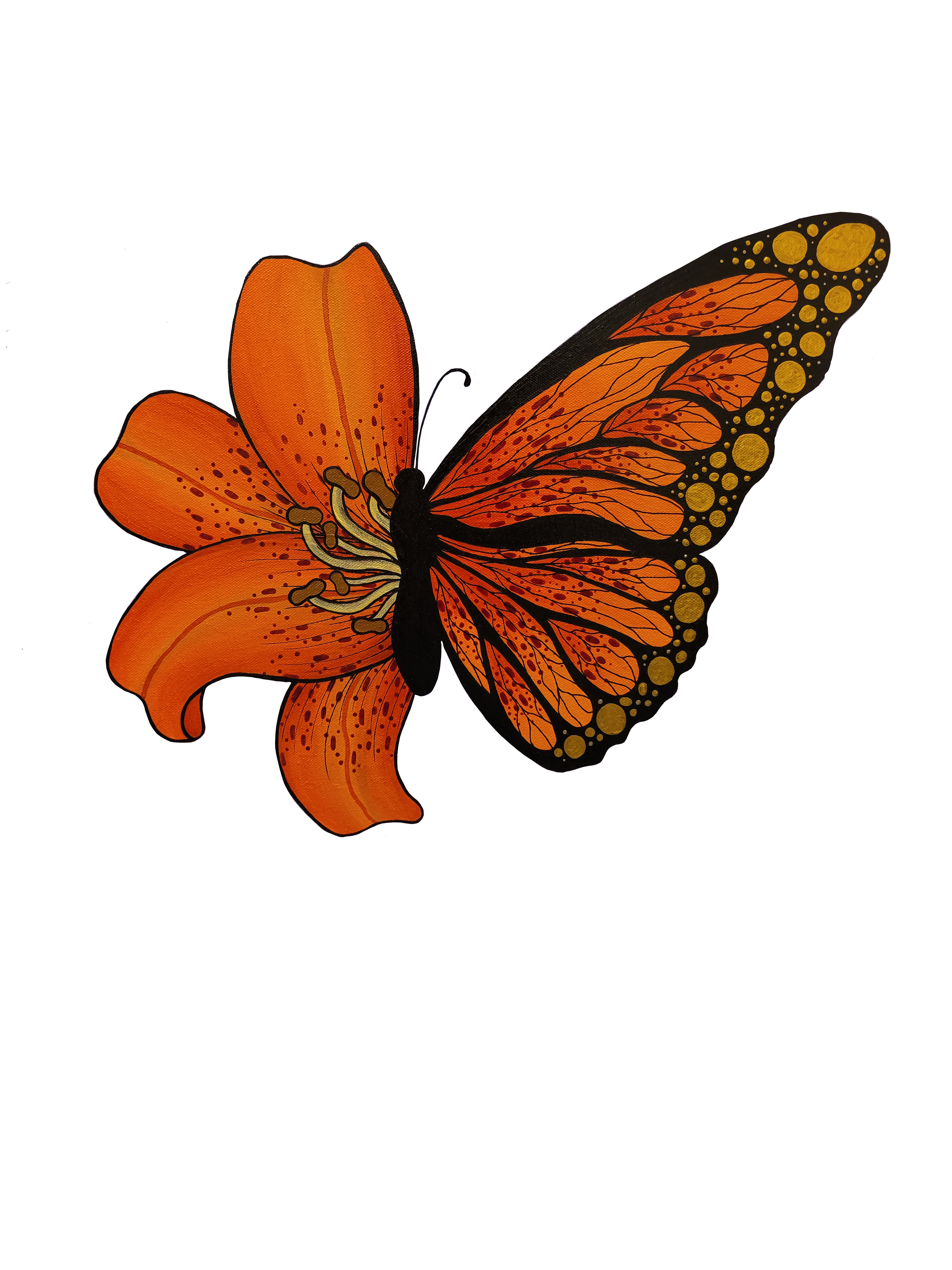 Tiger Lily Butterfly