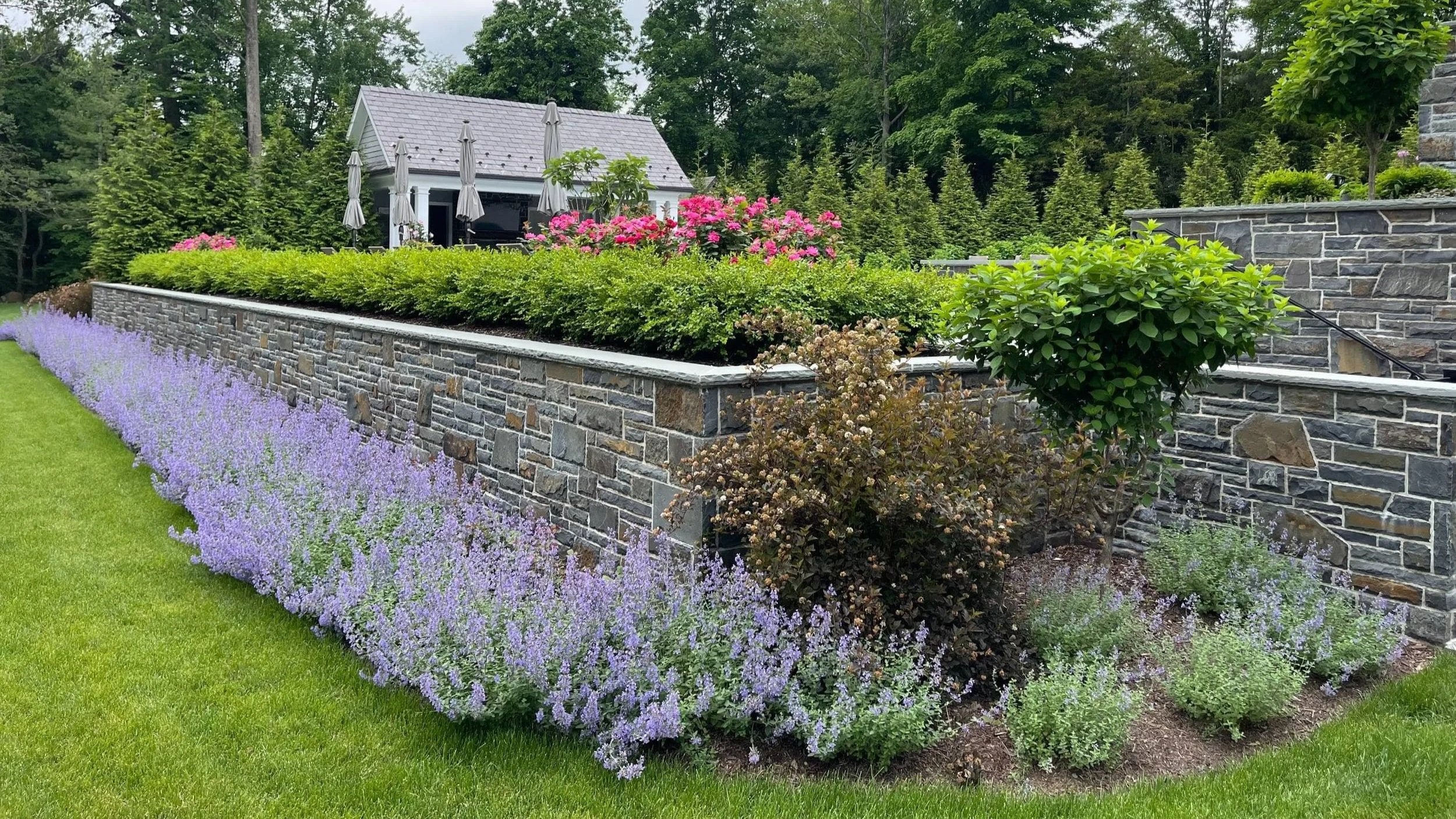 Sculptural Landscaping Surrounding a Grand Staircase in Saddle River, NJ