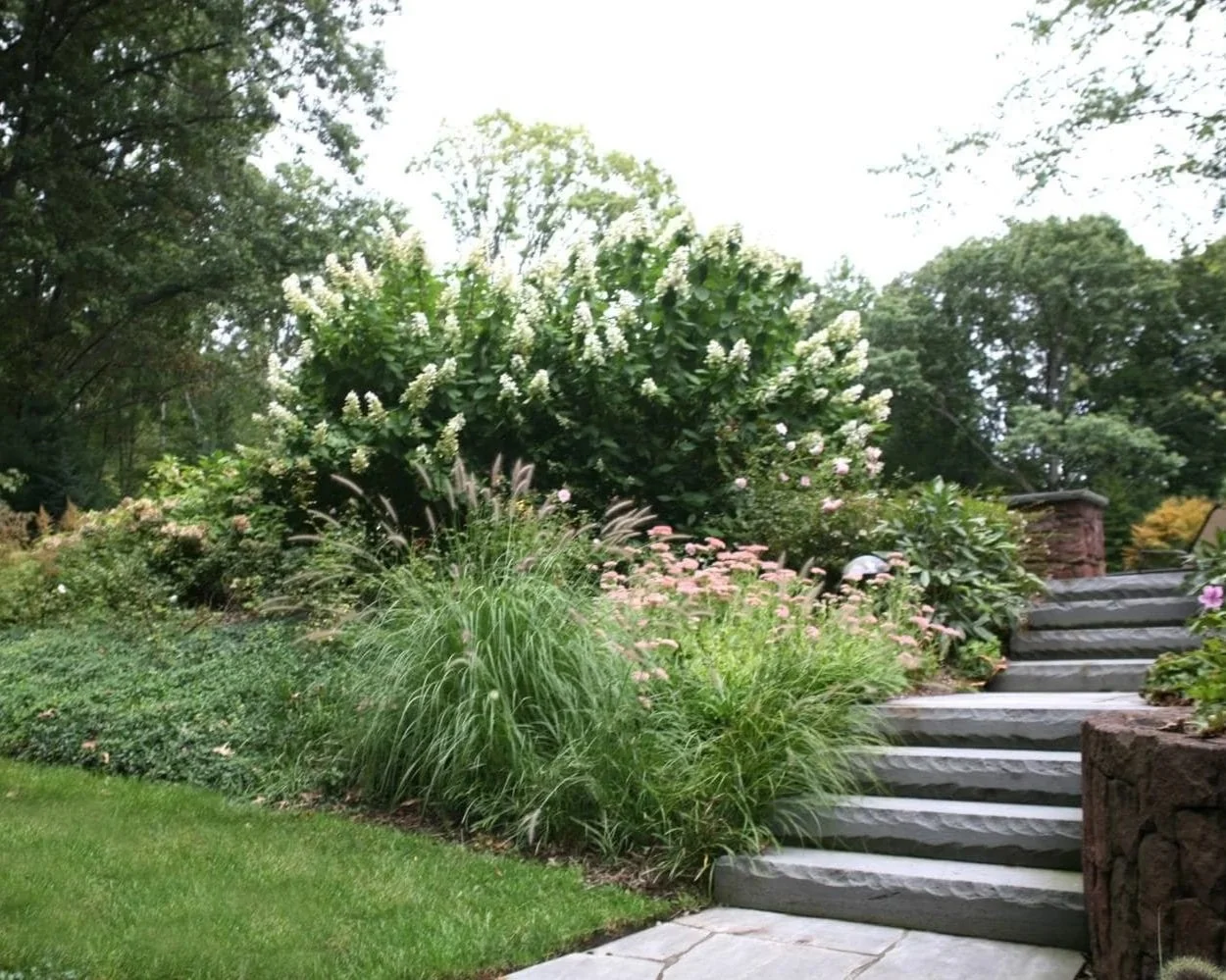 A serene outdoor garden space featuring layered shrubs, flowering trees, and expert landscaping in Woodcliff Lake, NJ
