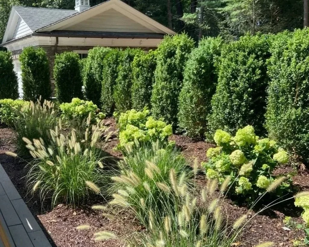 A professionally crafted garden room with lush plantings and elegant landscaping creating a peaceful outdoor retreat in Franklin Lakes, NJ