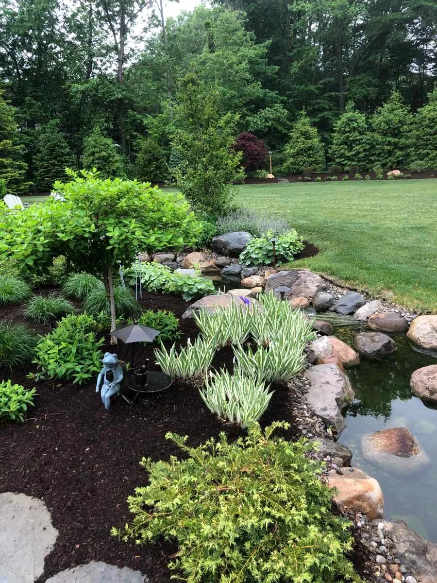 Natural stone stream water feature and custom plantings in Allendale, NJ