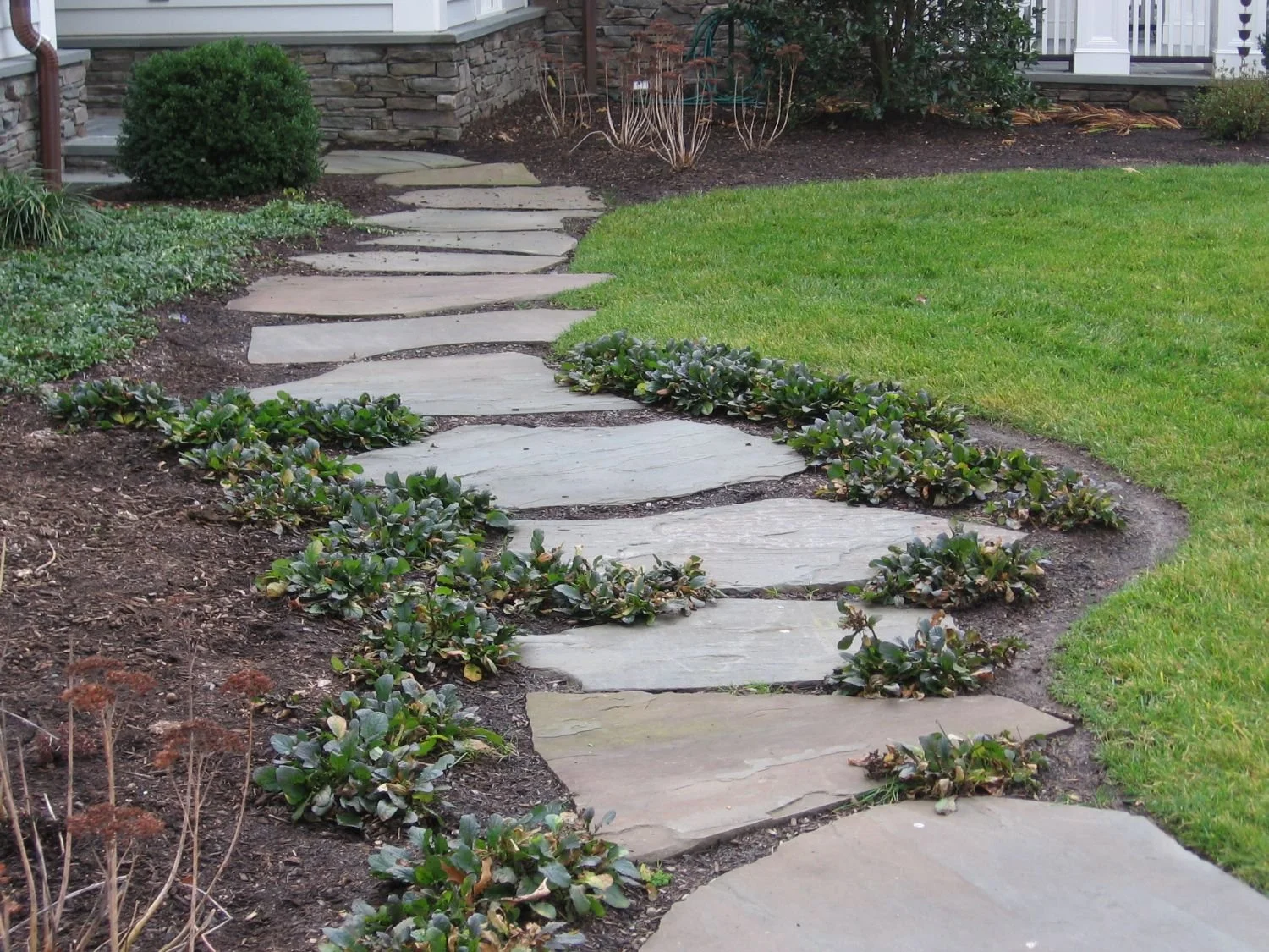 Natural pathway bordered by shrubs and groundcover near a residential home in Oradell, NJ