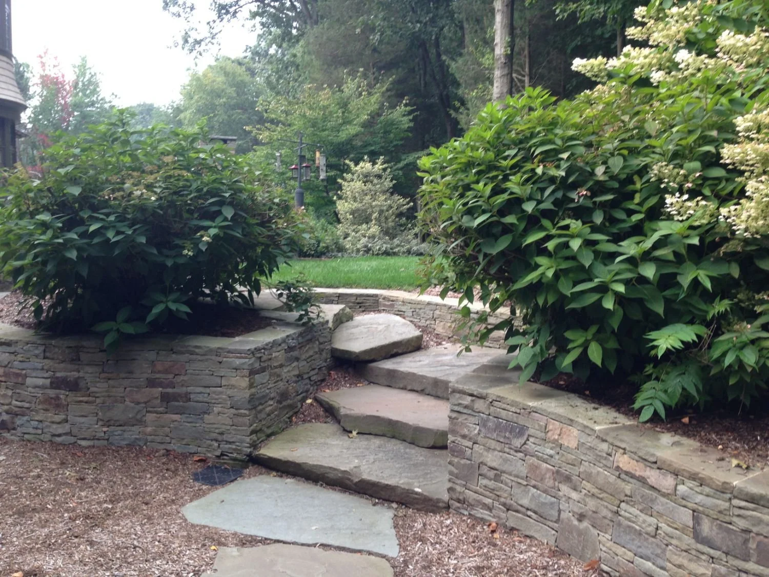 A natural pathway connecting outdoor living areas through dense greenery in Saddle River, NJ