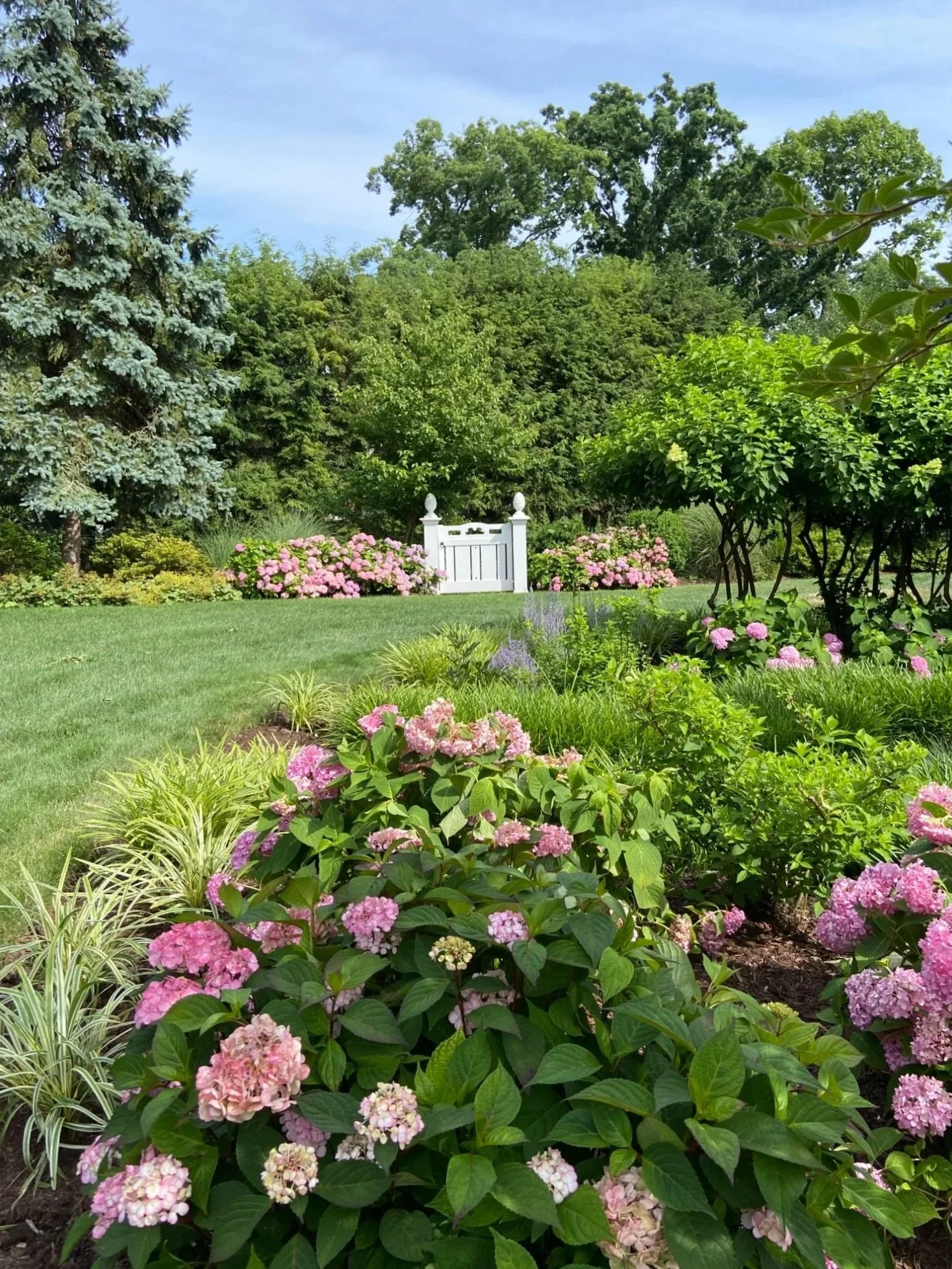 Thoughtful plantings used to frame outdoor gathering spaces in Saddle River, NJ