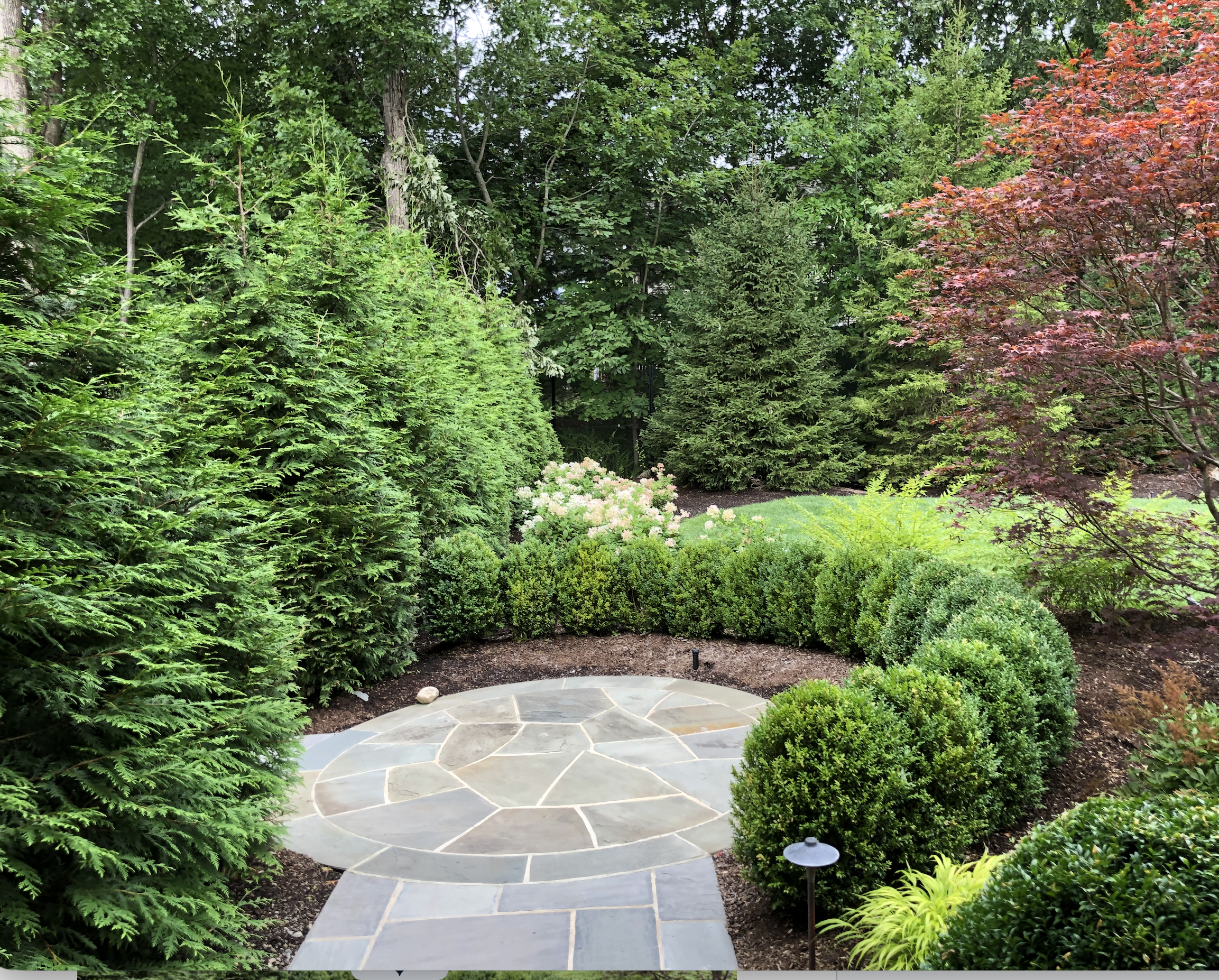 What Proper Tree and Shrub Pruning Actually Requires in Mahwah, NJ