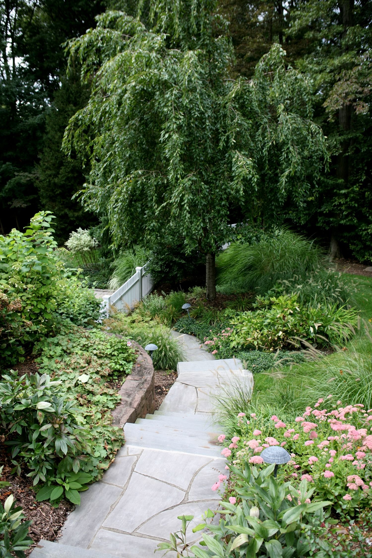 Garden room design using shrubs, trees, and perennials for natural flow in Ridgewood, NJ