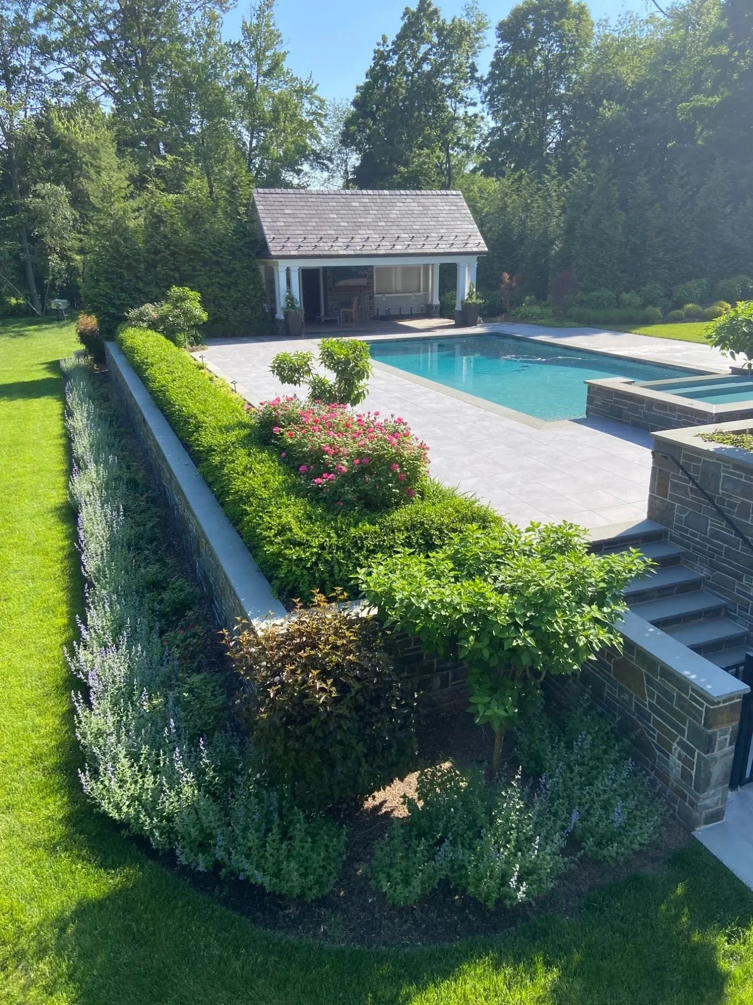 Privacy-focused plantings creating separation between outdoor living spaces in Woodcliff Lake, NJ