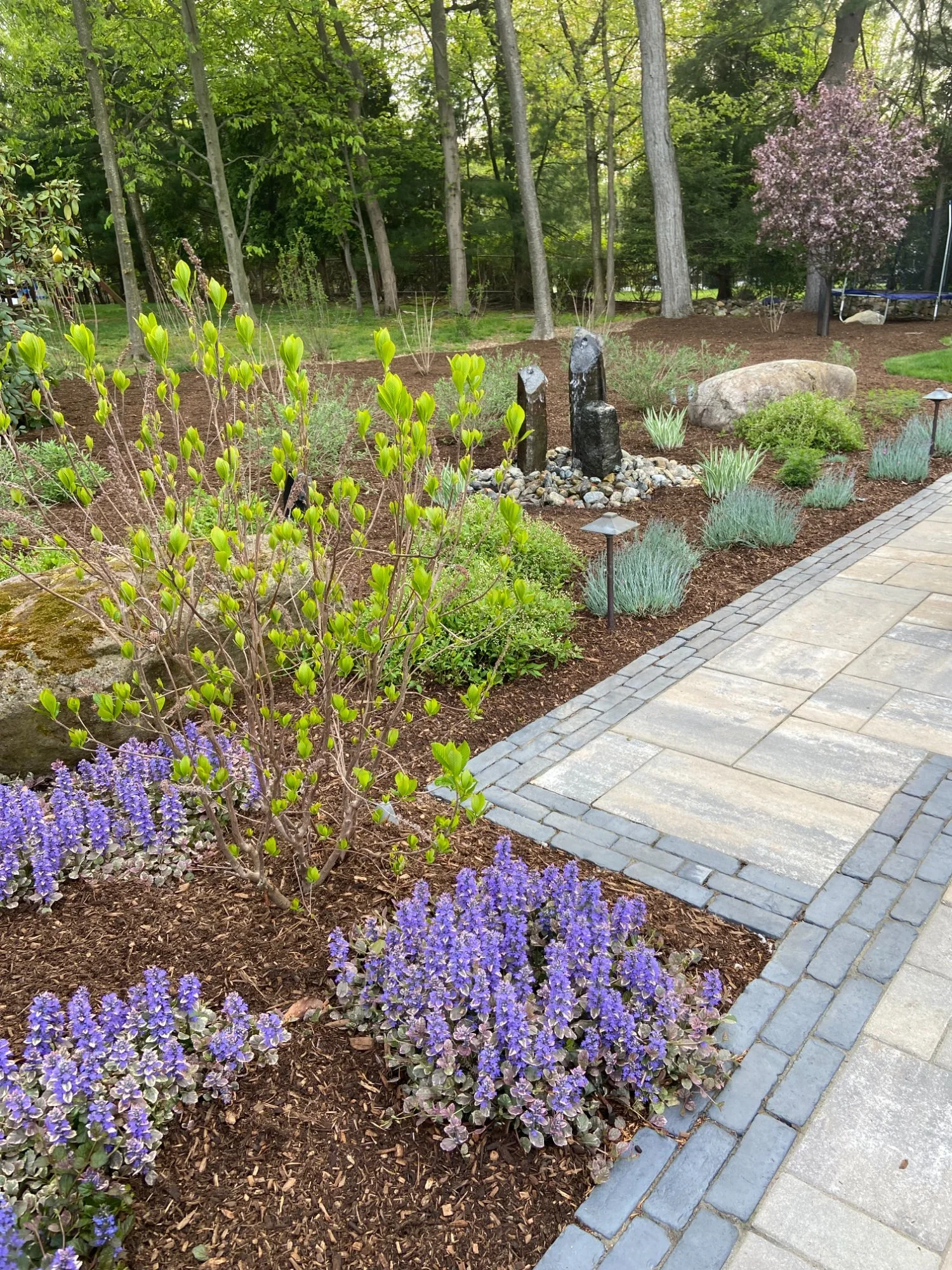 Pondless waterfall flowing through mossy stone and ornamental grasses in Allendale, NJ