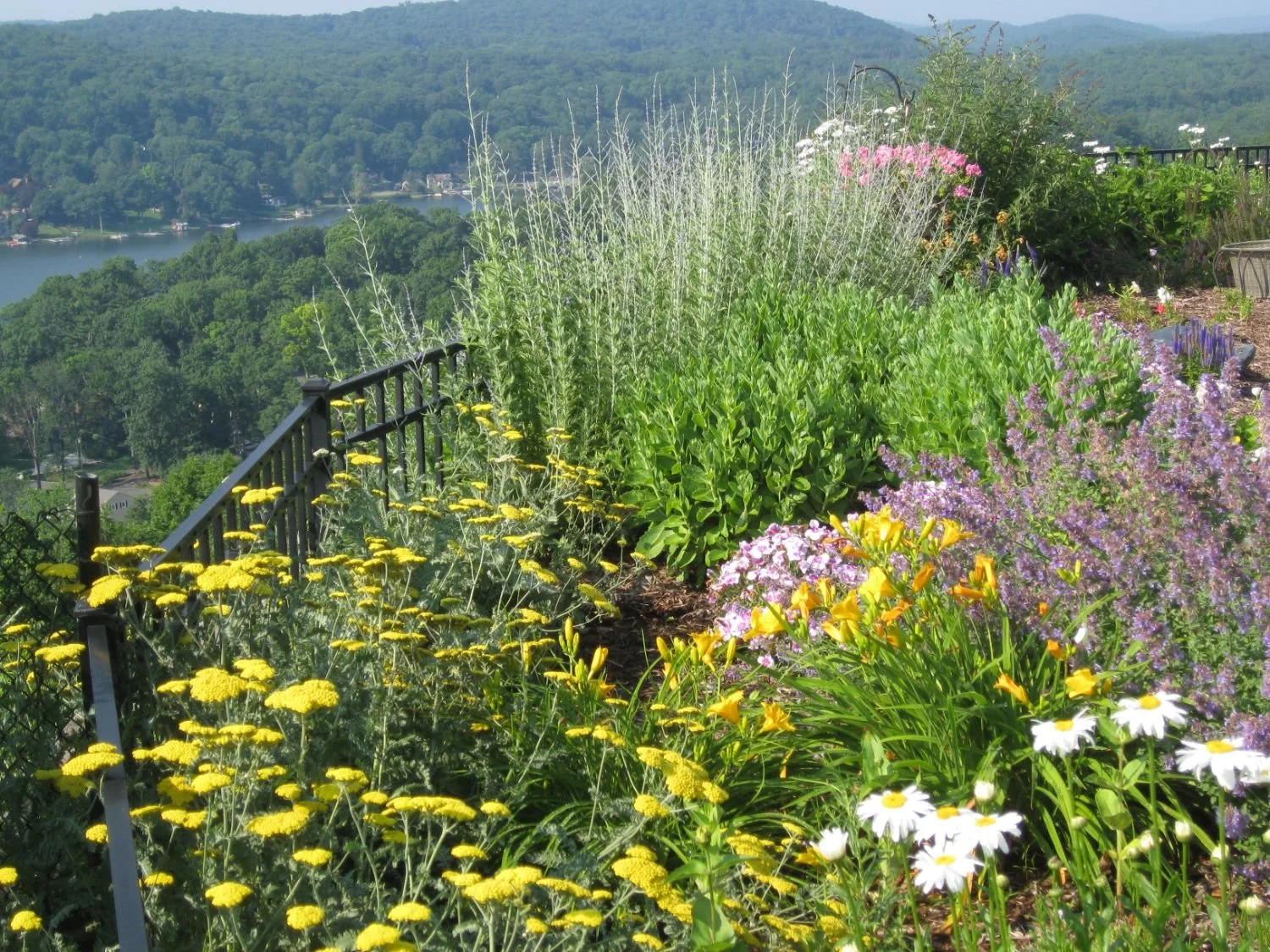Natural garden room created through planting density and spatial balance in Oradell, NJ