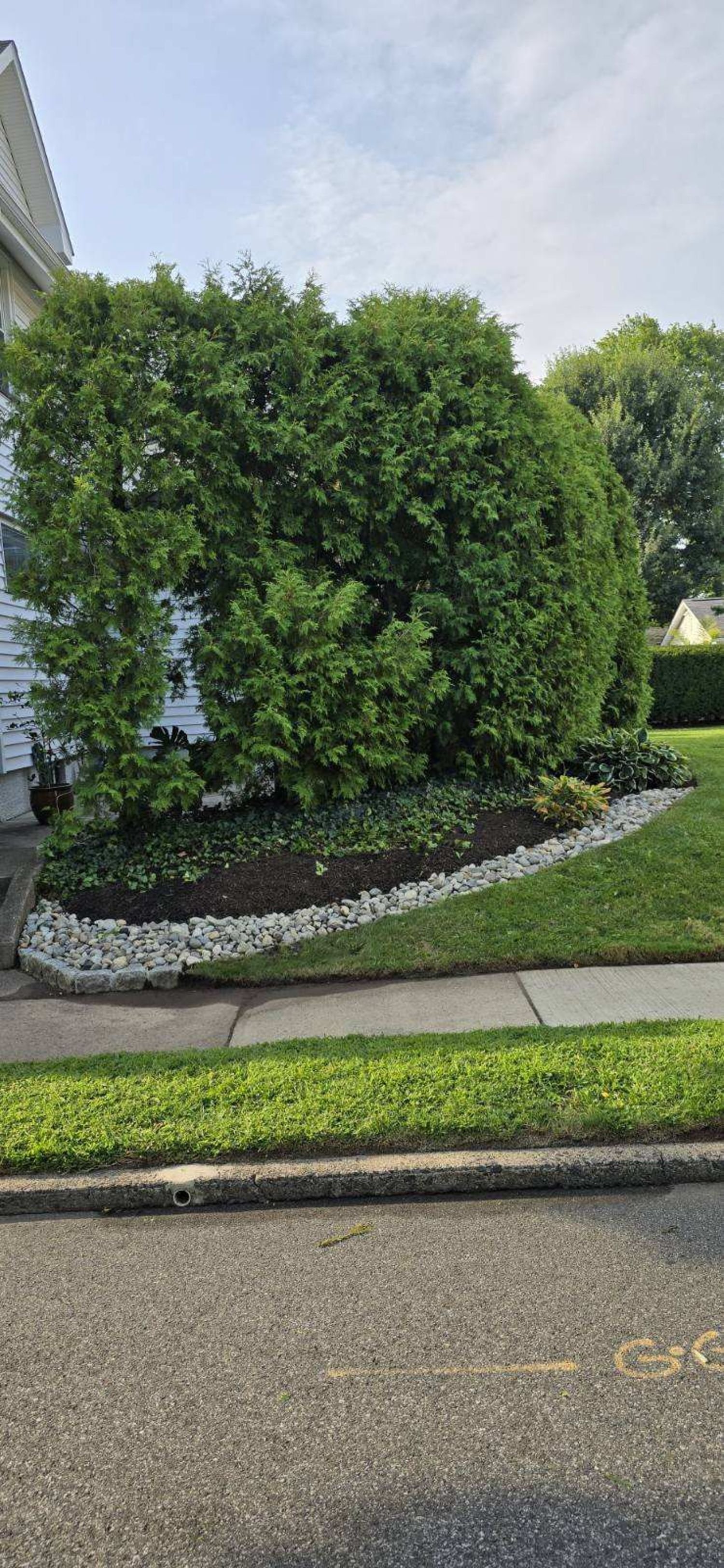 Drainage and Sitework in Allendale, NJ