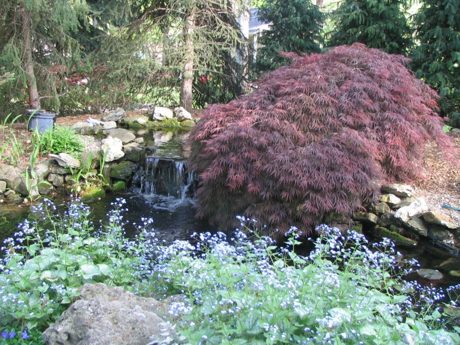 Natural stone pond with flowing water feature surrounded by mature trees in Allendale, NJ