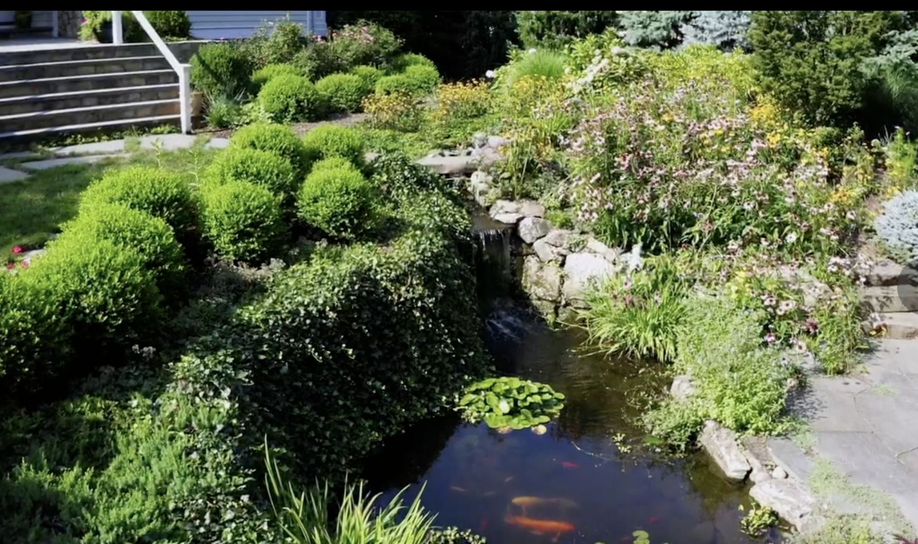 How a Koi Pond in Ridgewood, NJ, and Franklin Lakes, NJ, Fits Into a Landscape With Planting Beds.png