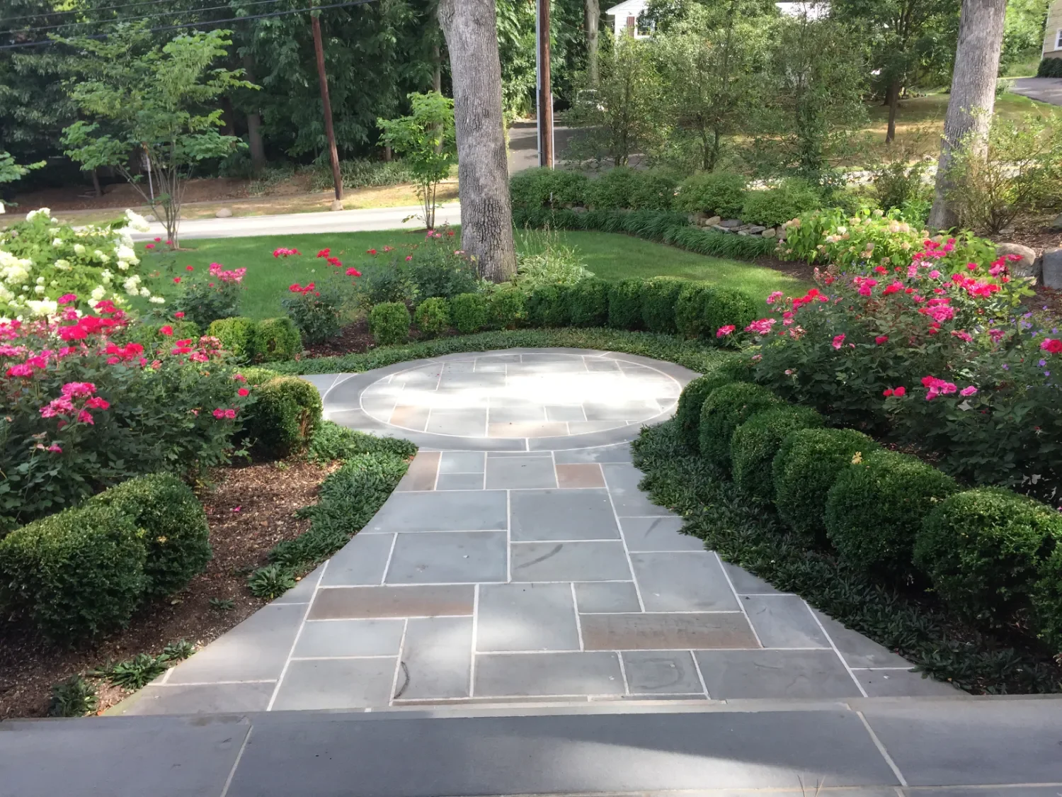 wide paver walkway framed by low shrubs and seasonal flowers in Ridgewood, NJ
