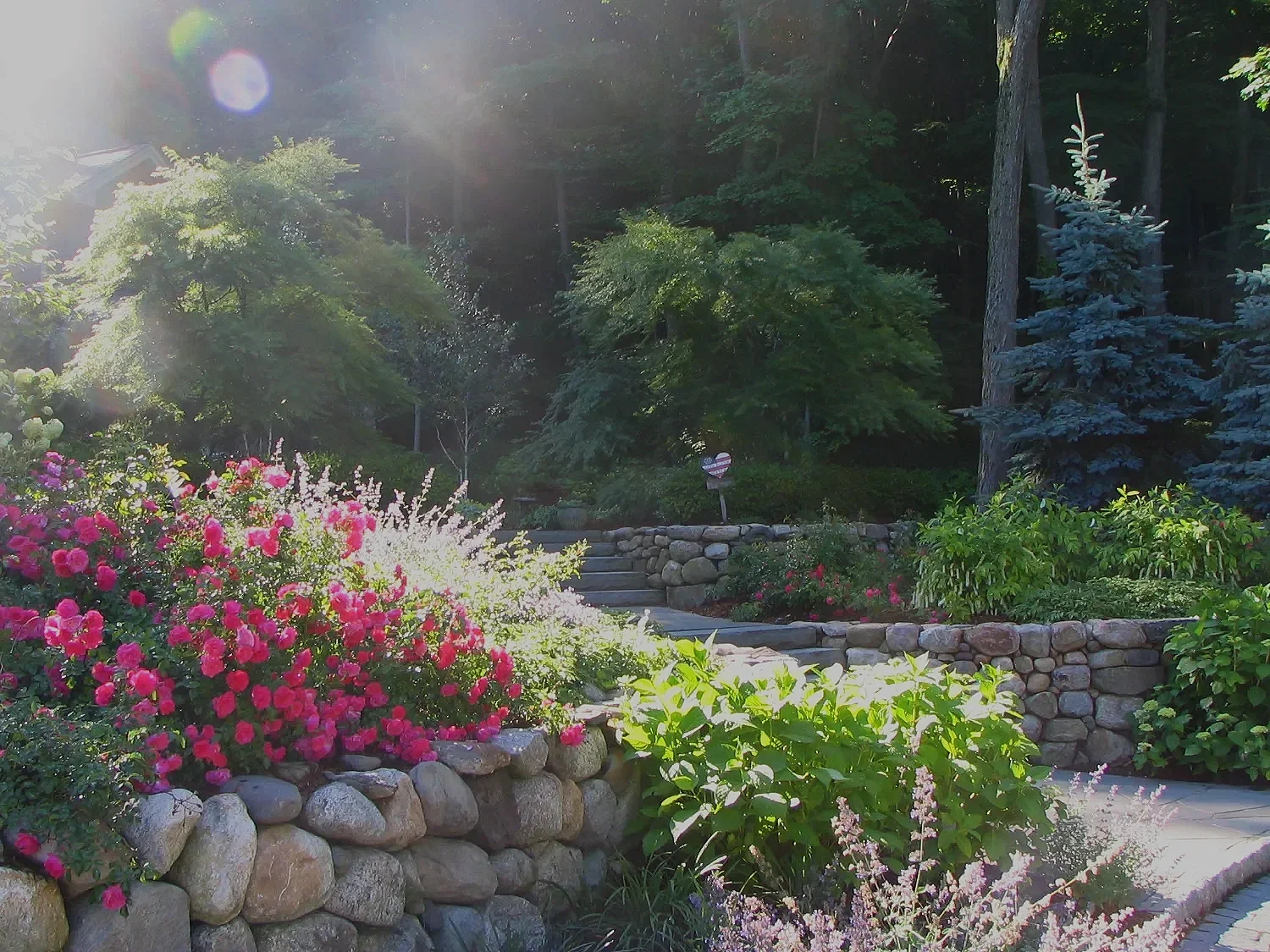 Retaining wall with planted terraces shaping a wooded hillside in Upper Saddle River, NJ