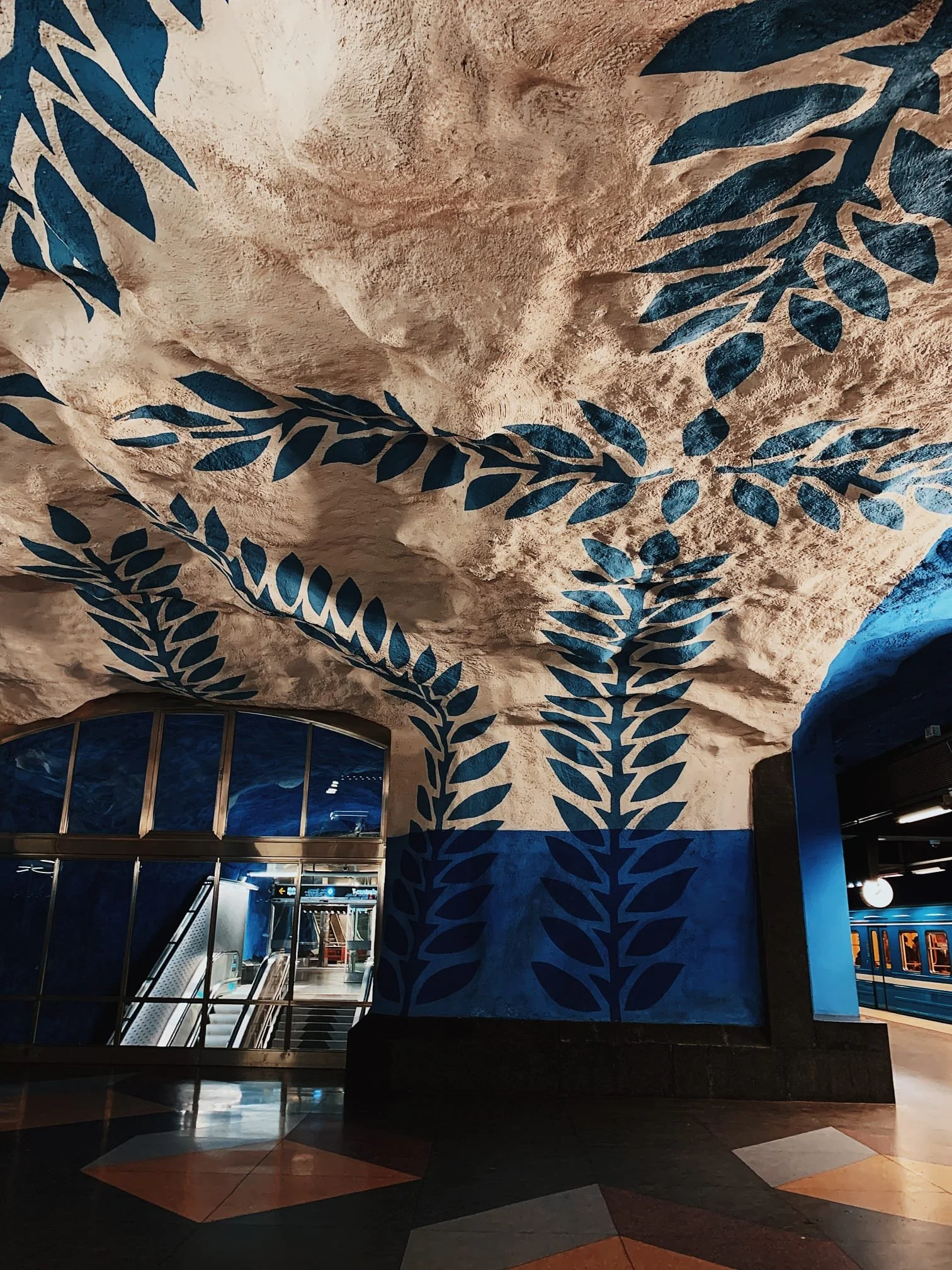 4005c883-36fd-4f16-ae95-9d249d4931a3 (1).JPEG