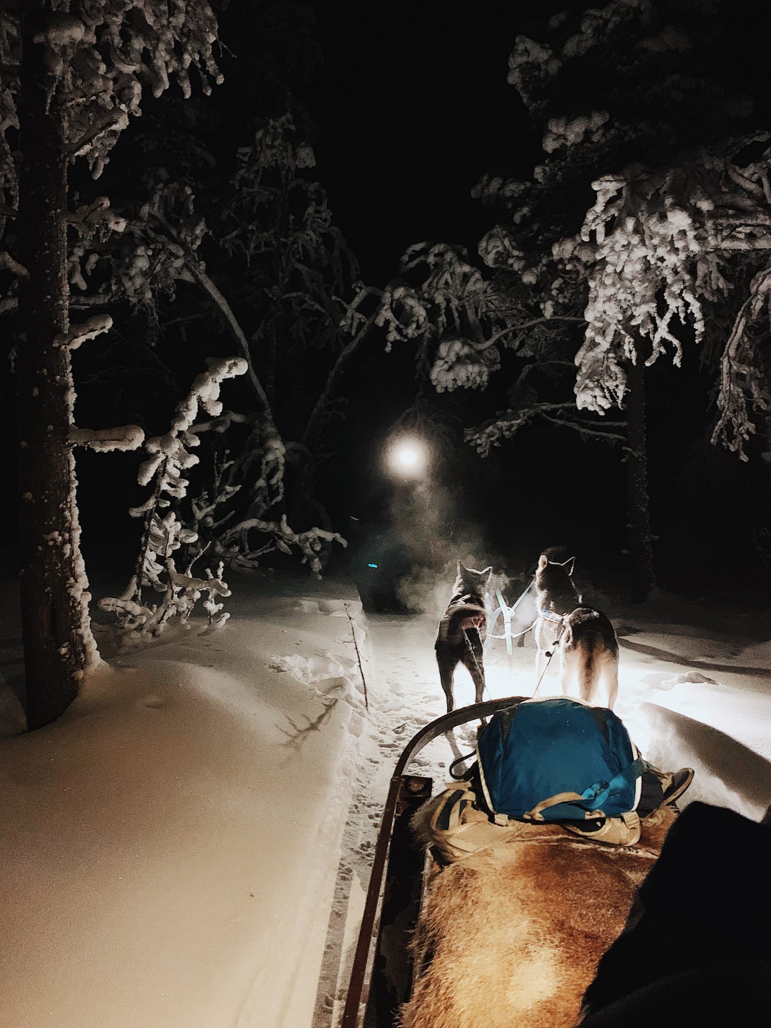 ae5adb29-cd75-4e59-bb3b-2475a85a49bd (1).JPEG