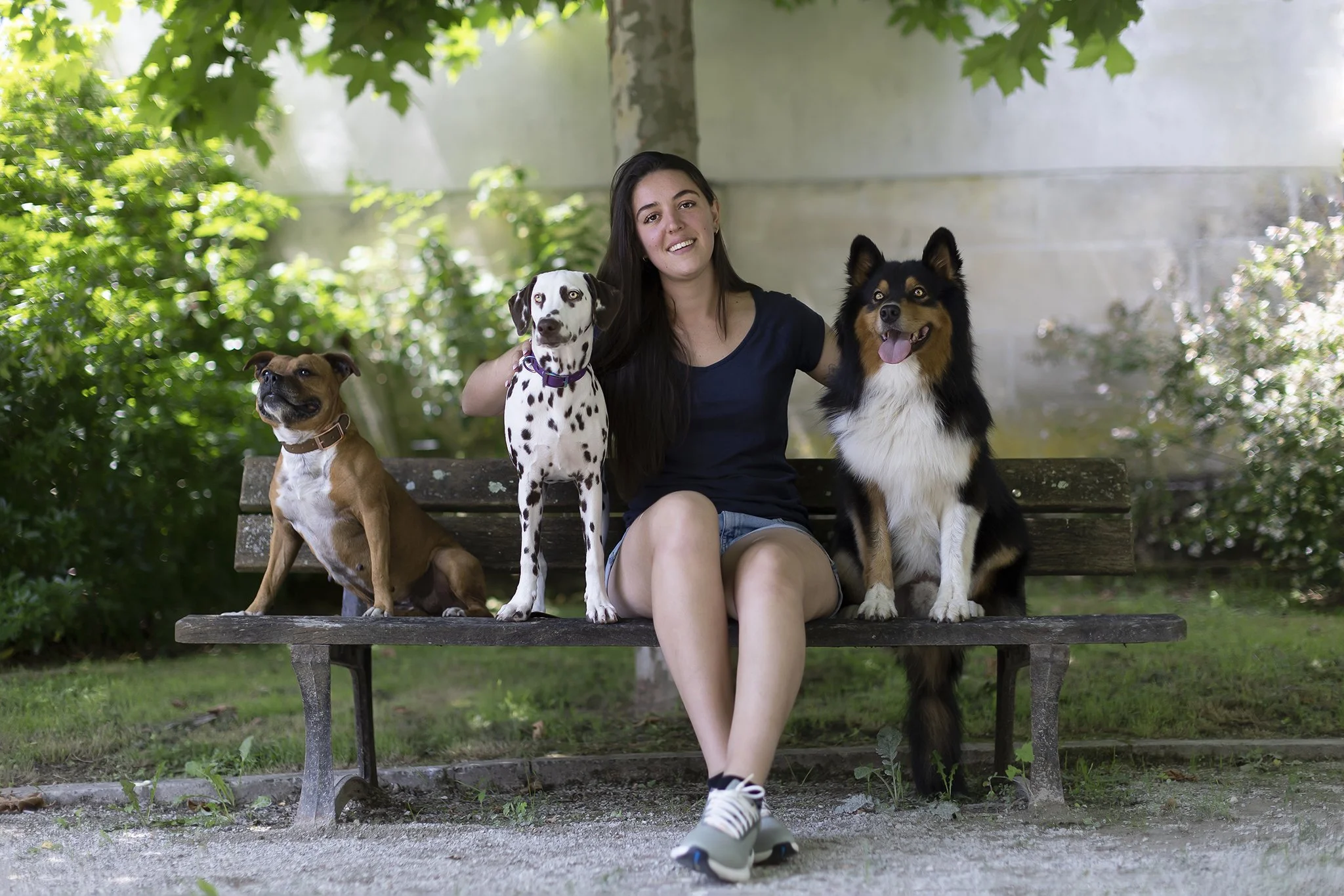 Dogs aventures 01-WEB.jpg