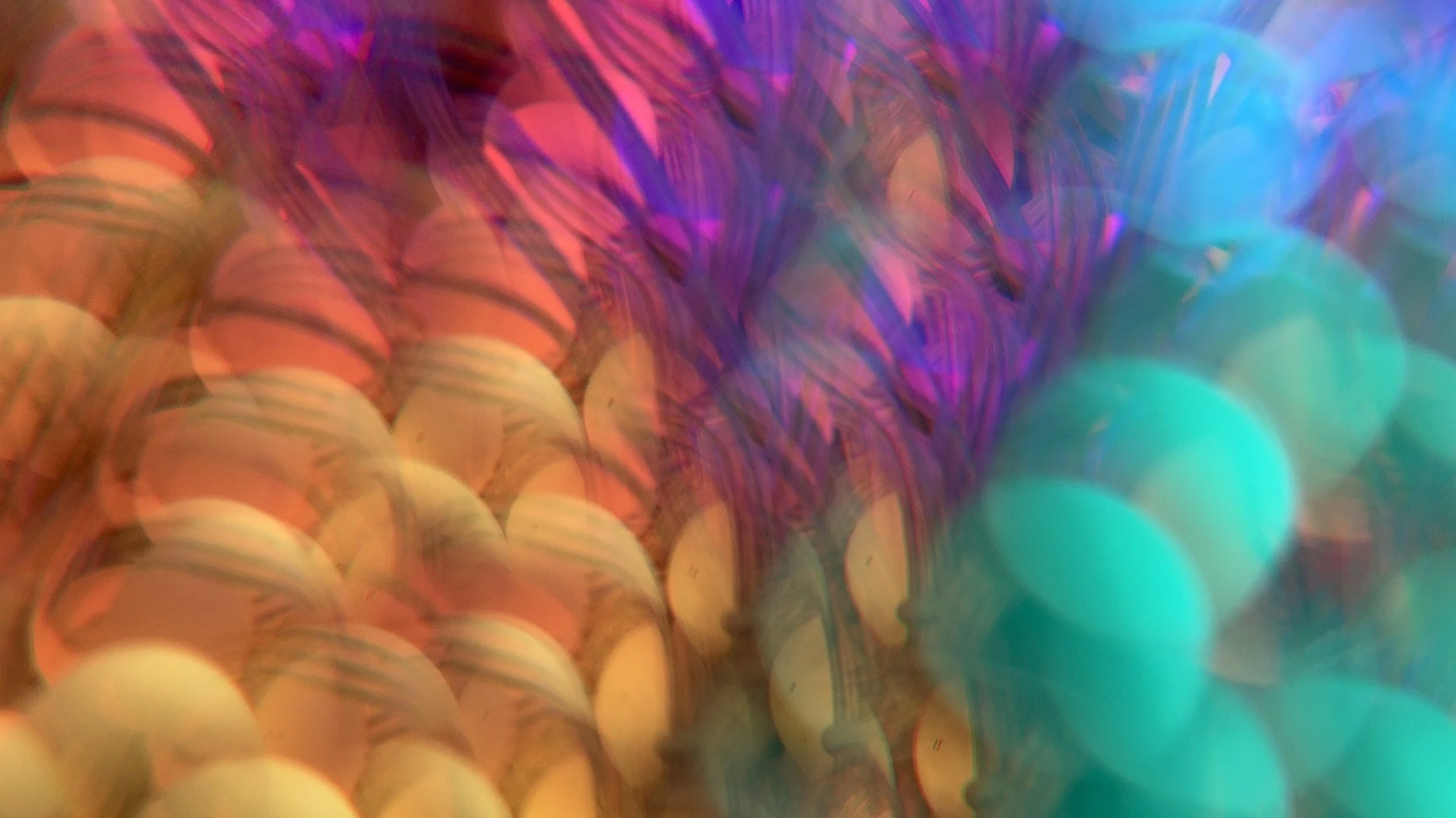 2025-05-29 - IMG_5487.jpeg