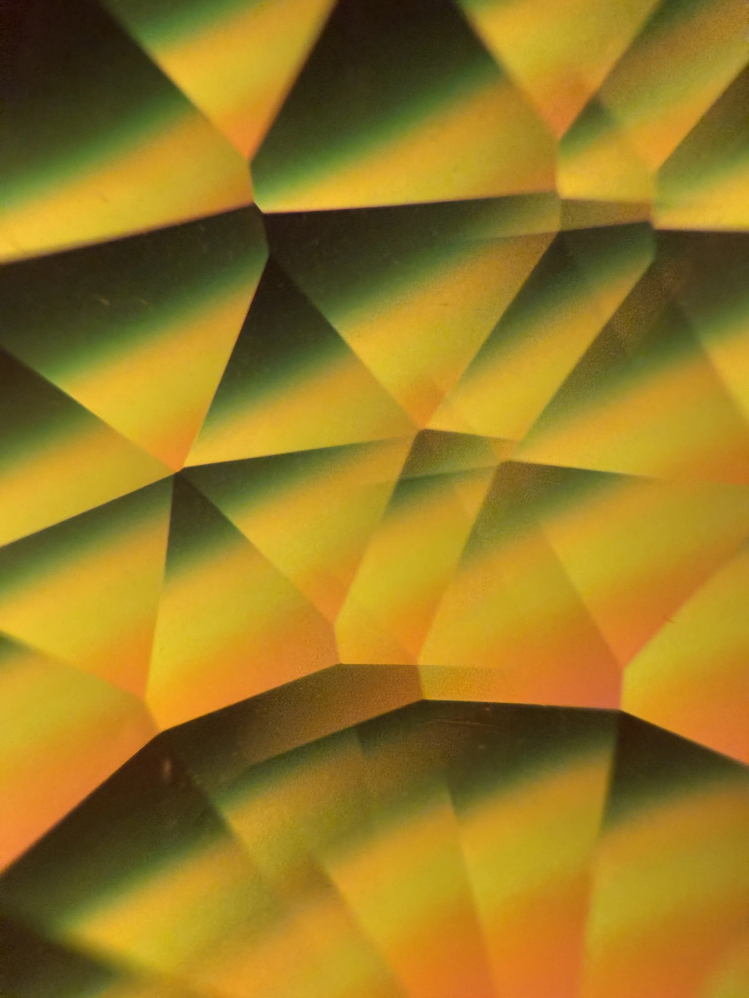 2025-04-26 - IMG_3786.jpeg