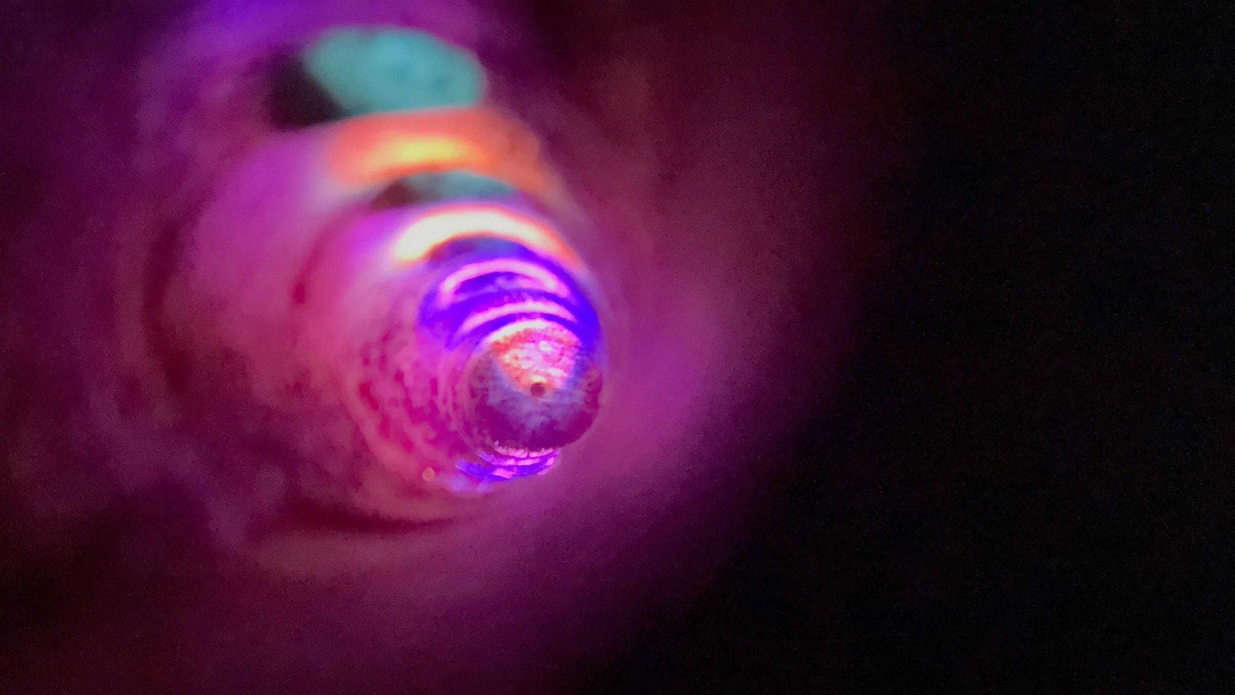 2025-11-22 - IMG_6594.jpeg