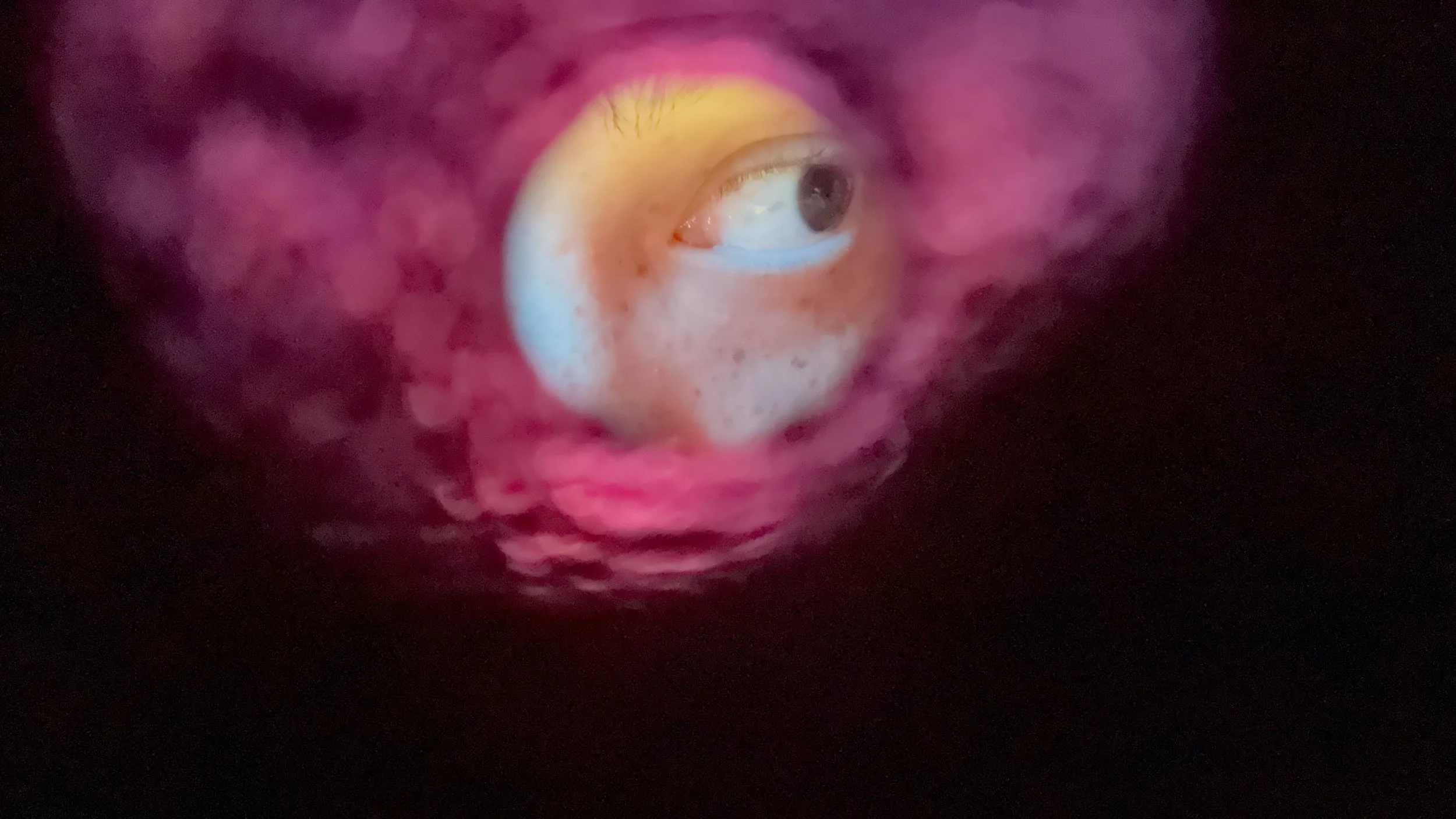 2025-11-22 - IMG_6608.jpeg