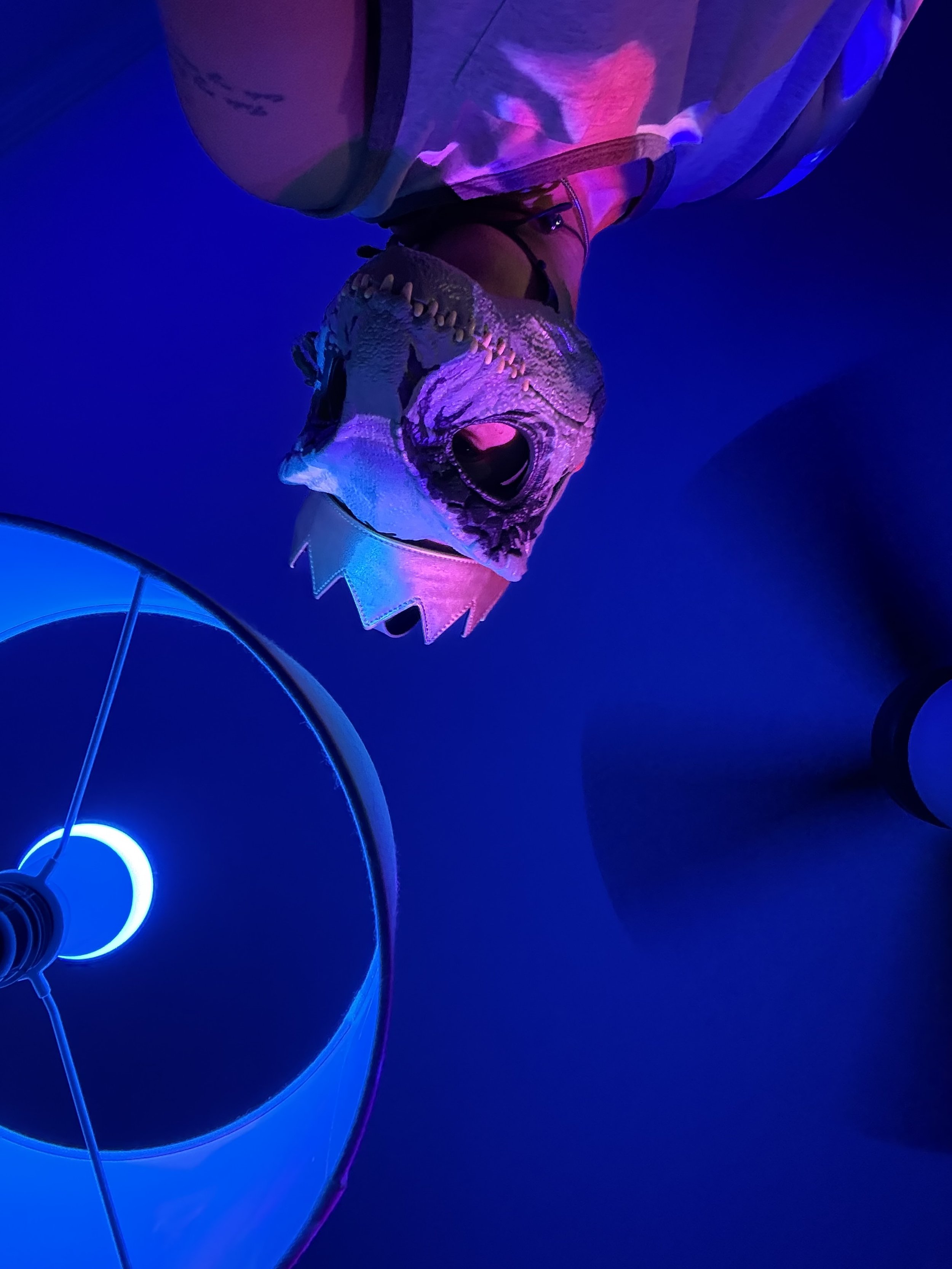 2025-09-15 - IMG_4201.jpeg