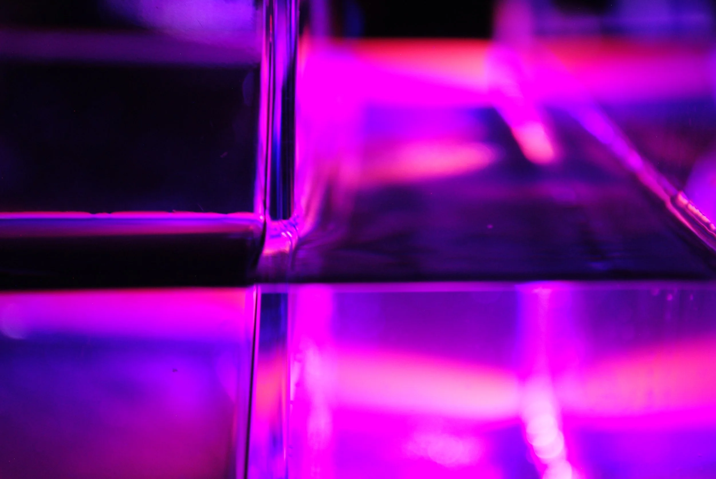 yes 12.17 DSC_5817.JPG