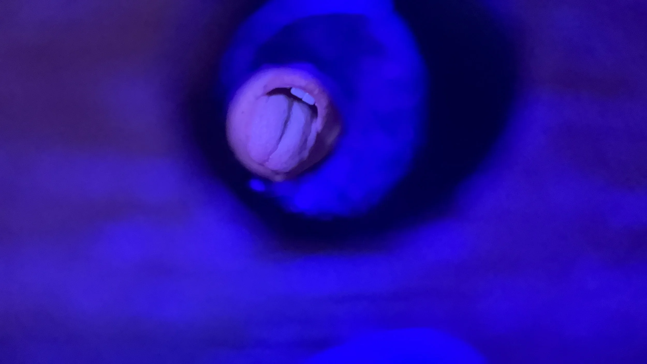 2025-11-22 - IMG_6602.jpeg