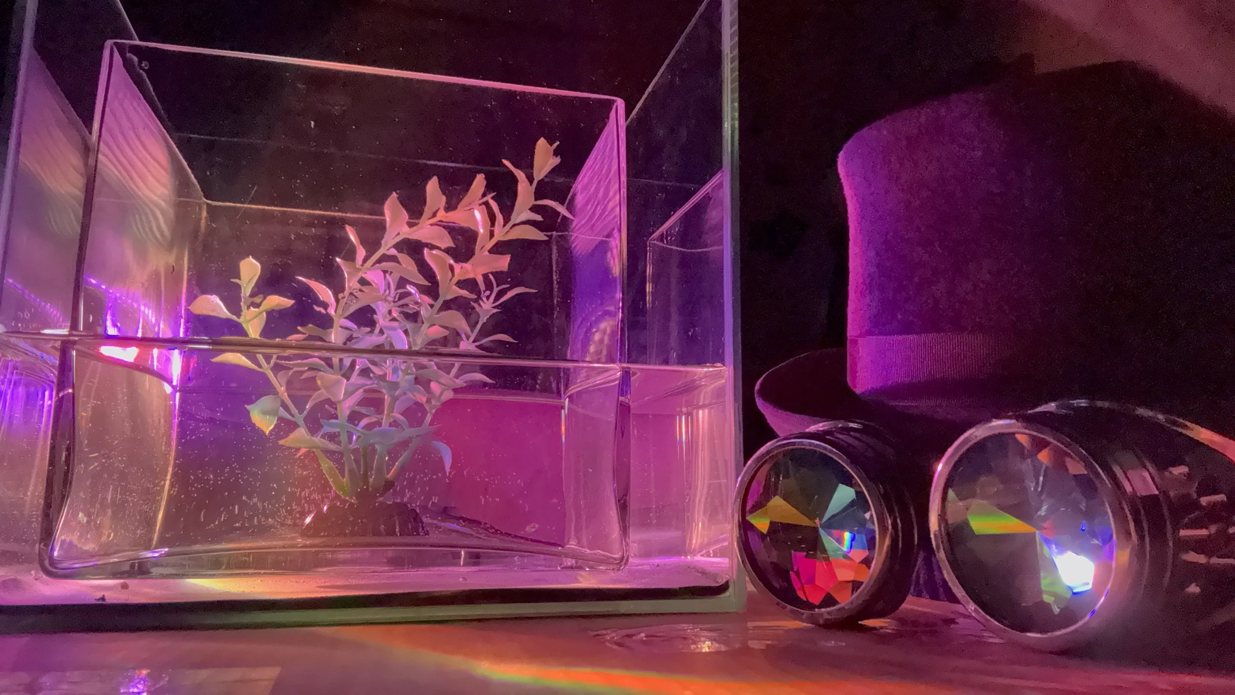 2025-12-16 - IMG_7266.jpeg