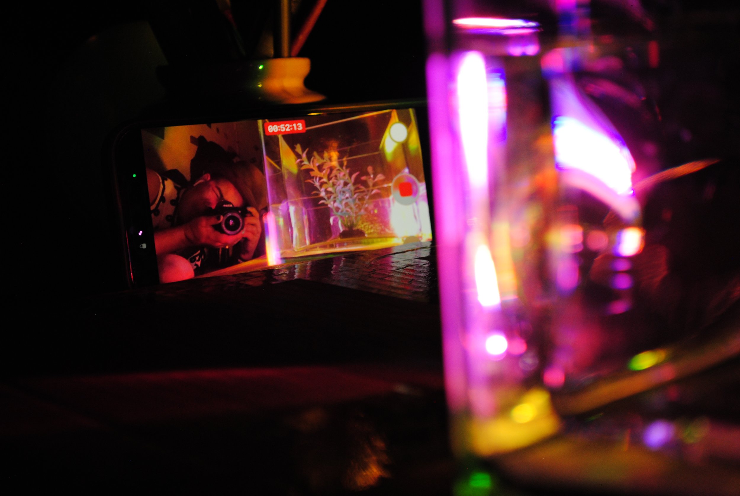 yes 12.17 DSC_5854.JPG