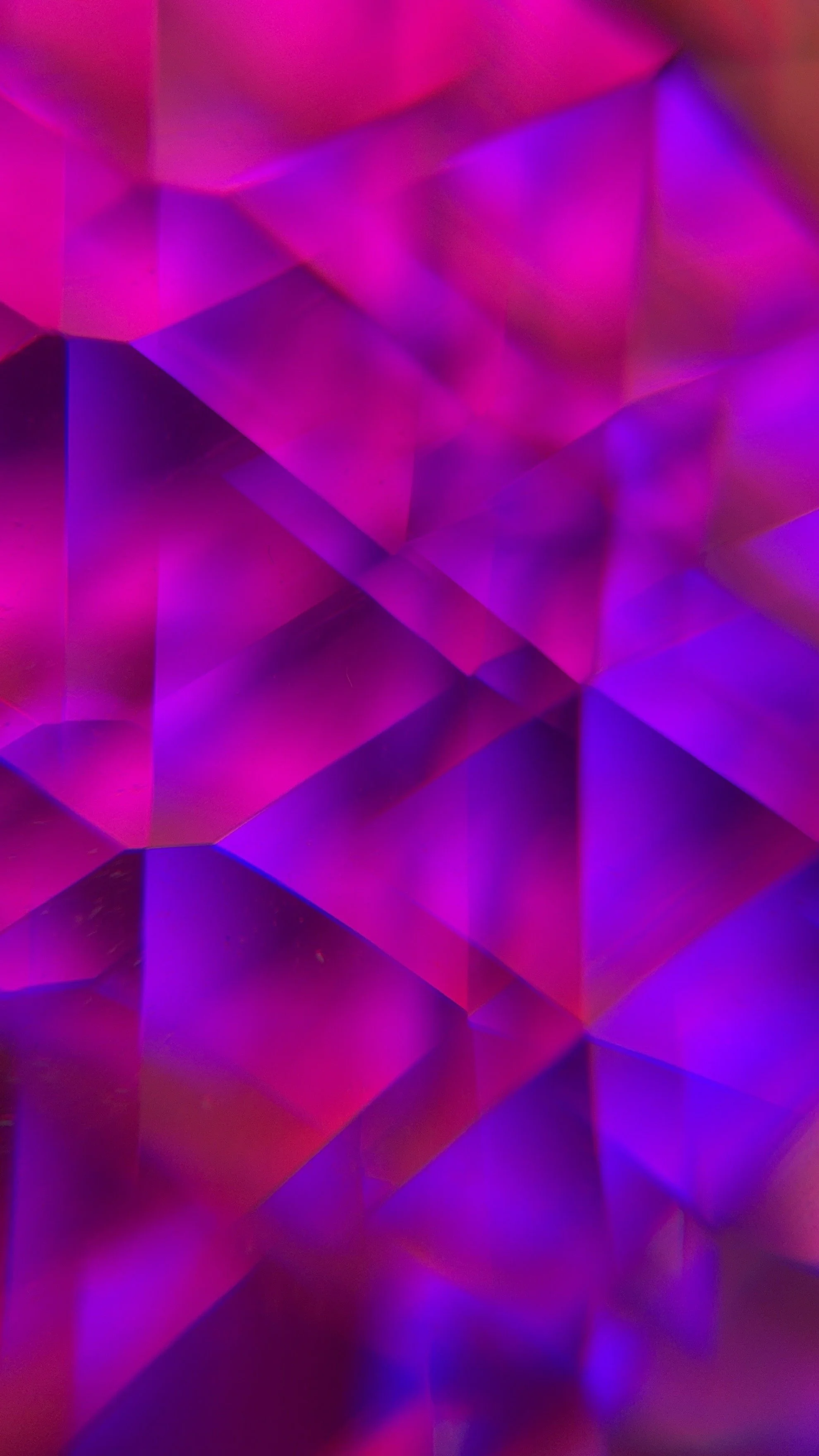 2025-05-29 - IMG_5506.jpeg